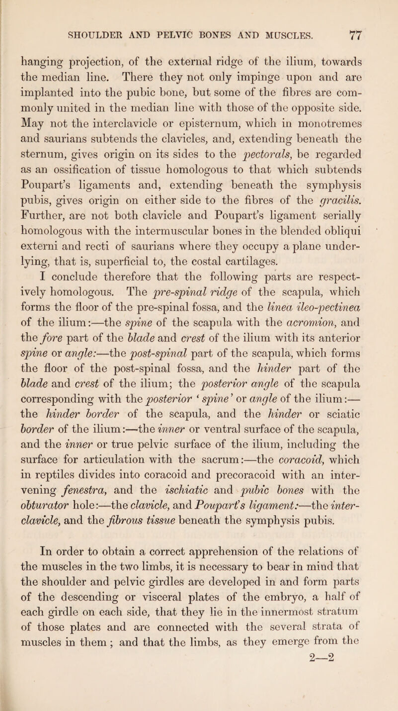 hanging projection, of the external ridge of the ilium, towards the median line. There they not only impinge upon and are implanted into the pubic bone, but some of the fibres are com¬ monly united in the median line with those of the opposite side. May not the interclavicle or episternum, which in monotremes and saurians subtends the clavicles, and, extending beneath the sternum, gives origin on its sides to the pectorals, be regarded as an ossification of tissue homologous to that which subtends Poupart’s ligaments and, extending beneath the symphysis pubis, gives origin on either side to the fibres of the gracilis. Further, are not both clavicle and Poupart’s ligament serially homologous with the intermuscular bones in the blended obliqui externi and recti of saurians where they occupy a plane under¬ lying, that is, superficial to, the costal cartilages. I conclude therefore that the following parts are respect¬ ively homologous. The pre-spinal ridge of the scapula, which forms the floor of the pre-spinal fossa, and the linea ileo-pectinea of the ilium:—the spine of the scapula with the acromion, and the fore part of the blade and crest of the ilium with its anterior spine or angle:—the post-spinal part of the scapula, which forms the floor of the post-spinal fossa, and the hinder part of the blade and crest of the ilium; the posterior angle of the scapula corresponding with the posterior ‘ spine ’ or angle of the ilium:— the hinder border of the scapula, and the hinder or sciatic border of the ilium:—-the inner or ventral surface of the scapula, and the inner or true pelvic surface of the ilium, including the surface for articulation with the sacrum:—the coracoid, which in reptiles divides into coracoid and precoracoid with an inter¬ vening fenestra, and the ischiatic and pubic bones with the obturator hole:—the clavicle, and Poupart’s ligament:—the inter¬ clavicle, and the fibrous tissue beneath the symphysis pubis. In order to obtain a correct apprehension of the relations of the muscles in the two limbs, it is necessary to bear in mind that the shoulder and pelvic girdles are developed in and form parts of the descending or visceral plates of the embryo, a half of each girdle on each side, that they lie in the innermost stratum of those plates and are connected with the several strata of muscles in them ; and that the limbs, as they emerge from the 2—2