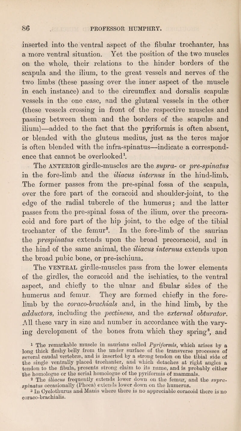 inserted into the ventral aspect of the fibular trochanter, has a more ventral situation. Yet the position of the two muscles on the whole, their relations to the hinder borders of the scapula and the ilium, to the great vessels and nerves of the two limbs (these passing over the inner aspect of the muscle in each instance) and to the circumflex and dorsalis scapulae vessels in the one case, and the glutaeal vessels in the other (these vessels crossing in front of the respective muscles and passing between them and the borders of the scapulae and ilium)—added to the fact that the pyriformis is often absent, or blended with the gluteus medius, just as the teres major is often blended with the infra-spinatus—indicate a correspond¬ ence that cannot be overlooked1. The anterior girdle-muscles are the supra- or pre-spinatus in the fore-limb and the iliacus internus in the hind-limb. The former passes from the pre-spinal fossa of the scapula, over the fore part of the coracoid and shoulder-joint, to the edge of the radial tubercle of the humerus; and the latter passes from the pre-spinal fossa of the ilium, over the precora¬ coid and fore part of the hip joint, to the edge of the tibial trochanter of the femur2. In the fore-limb of the saurian the prespinatus extends upon the broad precoracoid, and in the hind of the same animal, the iliacus internus extends upon the broad pubic bone, or pre-ischium. The ventral girdle-muscles pass from the lower elements of the girdles, the coracoid and the ischiatics, to the ventral aspect, and chiefly to the ulnar and fibular sides of the humerus and femur. They are formed chiefly in the fore¬ limb by the coraco-brachials and, in the hind limb, by the adductors, including the pectineus, and the external obturator. All these vary in size and number in accordance with the vary¬ ing development of the bones from which they spring3, and 1 The remarkable muscle in saurians called Pyriformis, which arises by a long thick fleshy belly from the under surface of the transverse processes of several caudal vertebrse, and is inserted by a strong tendon on the tibial side of the single ventrally placed trochanter, and which detaches at right angles a tendon to the fibula, presents strong claim to its name, and is probably either the homologue or the serial homologue of the pyriformis of mammals. 2 The iliacus frequently extends lower down on the femur, and the supra- spinatus occasionally (Phoca) extends lower down on the humerus. 3 In Cyclothurus and Manis where there is no appreciable coracoid there is no coraco-brachialis.