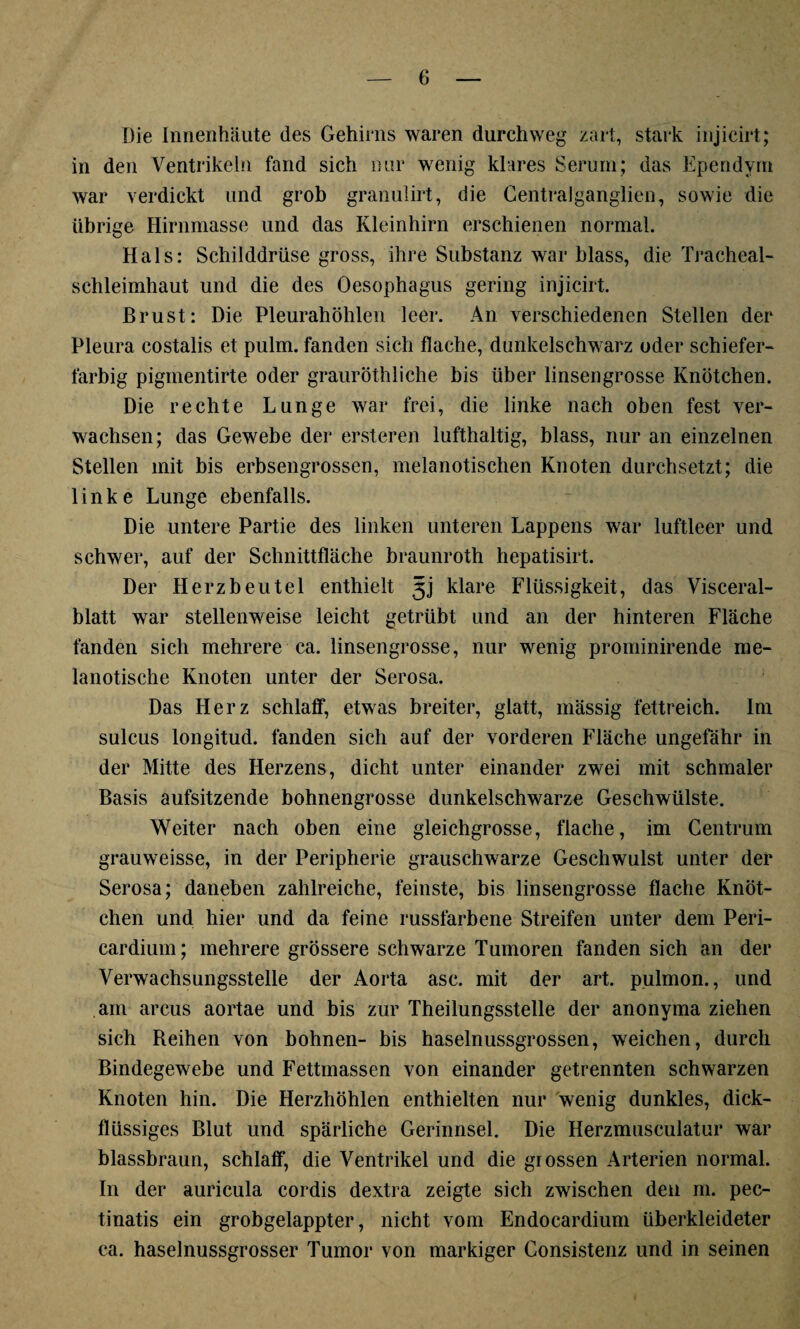 Die Innenhäute des Gehirns waren durchweg zart, stark injicirt; in den Ventrikeln fand sich nur wenig klares Serum; das Ependyrn war verdickt und grob granulirt, die Centralganglien, sowie die übrige Hirnmasse und das Kleinhirn erschienen normal. Hals: Schilddrüse gross, ihre Substanz war blass, die Tracheal- schleimhaut und die des Oesophagus gering injicirt. Brust: Die Pleurahöhlen leer. An verschiedenen Stellen der Pleura costalis et pulm. fanden sich flache, dunkelschwarz oder schiefer¬ farbig piginentirte oder grauröthliche bis über linsengrosse Knötchen. Die rechte Lunge war frei, die linke nach oben fest ver¬ wachsen; das Gewebe der ersteren lufthaltig, blass, nur an einzelnen Stellen mit bis erbsengrossen, melanotischen Knoten durchsetzt; die linke Lunge ebenfalls. Die untere Partie des linken unteren Lappens war luftleer und schwer, auf der Schnittfläche braunroth hepatisirt. Der Herzbeutel enthielt 3J klare Flüssigkeit, das Visceral¬ blatt war stellenweise leicht getrübt und an der hinteren Fläche fanden sich mehrere ca. linsengrosse, nur wenig prominirende me- lanotische Knoten unter der Serosa. Das Herz schlaff, etwas breiter, glatt, mässig fettreich. Im sulcus longitud. fanden sich auf der vorderen Fläche ungefähr in der Mitte des Herzens, dicht unter einander zwei mit schmaler Basis aufsitzende bohnengrosse dunkelschwarze Geschwülste. Weiter nach oben eine gleichgrosse, flache, im Centrum grauweisse, in der Peripherie grauschwarze Geschwulst unter der Serosa; daneben zahlreiche, feinste, bis linsengrosse flache Knöt¬ chen und hier und da feine russfarbene Streifen unter dem Peri- cardium; mehrere grössere schwarze Tumoren fanden sich an der Verwachsungsstelle der Aorta asc. mit der art. pulmon., und am arcus aortae und bis zur Theilungsstelle der anonyma ziehen sich Beihen von höhnen- bis haselnussgrossen, weichen, durch Bindegewebe und Fettmassen von einander getrennten schwarzen Knoten hin. Die Herzhöhlen enthielten nur wenig dunkles, dick¬ flüssiges Blut und spärliche Gerinnsel. Die Herzmusculatur war blassbraun, schlaff, die Ventrikel und die grossen Arterien normal. In der auricula cordis dextra zeigte sich zwischen den m. pec- tinatis ein grobgelappter, nicht vom Endocardium überkleideter ca. haselnussgrosser Tumor von markiger Consistenz und in seinen