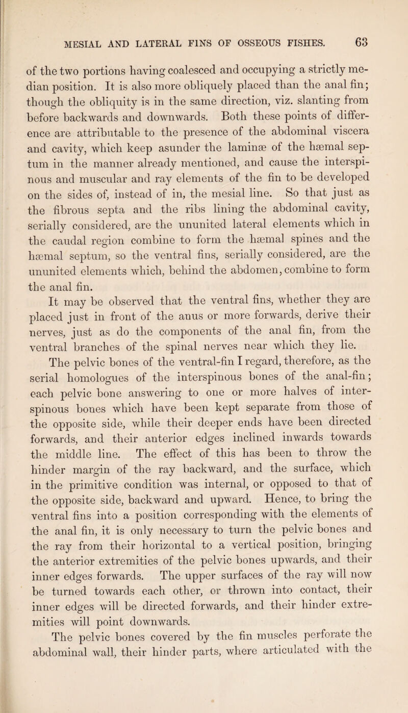 of the two portions having coalesced and occupying a strictly me¬ dian position. It is also more obliquely placed than the anal fin; though the obliquity is in the same direction, viz. slanting from before backwards and downwards. Both these points of differ¬ ence are attributable to the presence of the abdominal viscera and cavity, which keep asunder the laminae of the haemal sep¬ tum in the manner already mentioned, and cause the interspi- nous and muscular and ray elements of the fin to be developed on the sides of, instead of in, the mesial line. So that just as the fibrous septa and the ribs lining the abdominal cavity, serially considered, are the ununited lateral elements which in the caudal region combine to form the haemal spines and the h^mal septum, so the ventral fins, serially considered, are the ununited elements which, behind the abdomen, combine to form the anal fin. It may be observed that the ventral fins, whether they are placed just in front of the anus or more forwards, derive their nerves, just as do the components of the anal fin, from the ventral branches of the spinal nerves near which they lie. The pelvic bones of the ventral-fin I regard, therefore, as the serial homologues of the interspinous bones of the anal-fin; each pelvic bone answering to one or more halves of inter¬ spinous bones which have been kept separate from those of the opposite side, while their deeper ends have been directed forwards, and their anterior edges inclined inwards towards the middle line. The effect of this has been to throw the hinder margin of the ray backward, and the surface, which in the primitive condition was internal, or opposed to that of the opposite side, backward and upward. Hence, to bring the ventral fins into a position corresponding with the elements of the anal fin, it is only necessary to turn the pelvic bones and the ray from their horizontal to a vertical position, bringing the anterior extremities of the pelvic bones upAvards, and their inner edges forwards. The upper surfaces of the ray will now be turned towards each other, or thrown into contact, their inner edges will be directed forwards, and their hinder extre¬ mities will point downwards. The pelvic bones covered by the fin muscles perforate the abdominal wall, their hinder parts, where articulated with the