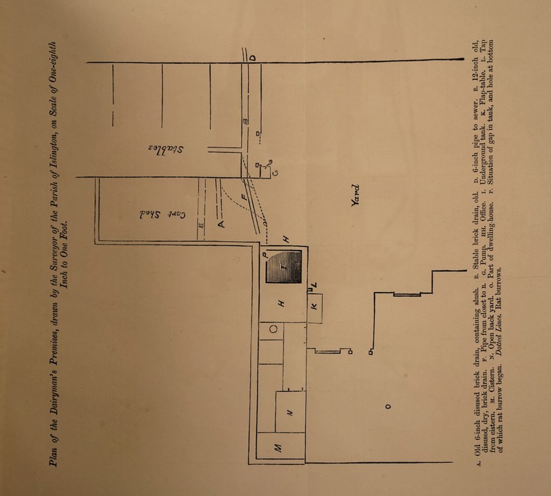 of which rat burrow began. Dotted Lines. Rat burrows.