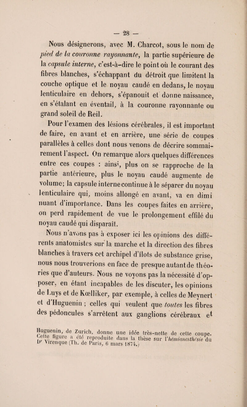 Nous désignerons, avec M. Charcot, sous le nom de pied de la couronne rayonnante, la partie supérieure de la capsule interne, c’est-à-dire le point où le courant des fibres blanches, s’échappant du détroit que limitent la couche optique et le noyau caudé en dedans, le noyau lenticulaire en dehors, s’épanouit et donne naissance, en s’étalant en éventail, à la couronne rayonnante ou grand soleil de Reil. Pour 1 examen des lésions cérébrales, il est important de faire, en avant et en arrière, une série de coupes parallèles a celles dont nous venons de décrire sommai¬ rement l’aspect. On remarque alors quelques différences entre ces coupes : ainsi, plus on se rapproche de la partie antérieure, plus le noyau caudé augmente de volume; la capsule interne continue à le séparer du noyau lenticulaire qui, moins allongé en avant, va en dimi nuant d imporlance. Dans les coupes faites en arrière, on perd rapidement de vue le prolongement effilé du noyau caudé qui disparaît. Nous n avons pas a exposer ici les opinions des diffé¬ rents anatomistes sur la marche et la direction des fibres blanches à travers cet archipel d’îlots de substance grise, nous nous trouverions en face de presque autant de théo¬ ries que d’auteurs. Nous ne voyons pas la nécessité d’op¬ poser, en étant incapables de les discuter, les opinions de Luys et de Kœlliker, par exemple, à celles de Meynert et dlluguenin ; celles qui veulent que toutes les fibres des pédoncules s’arrêtent aux ganglions cérébraux e* Hugüenin, dê Zurich, donne une idée très-nette de celte coupe. rir \r, ’®ule ™.e'e; reproduite dans la thèse sur Vhémianesthésie du br Virenque (Th. de Paris, tf mars 1874.)