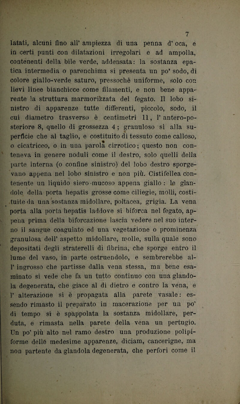 latati, alcuni fino all* ampiezza di una penna d’ oca, e in certi punti con dilatazioni irregolari e ad ampolla, contenenti della bile verde, addensata: la sostanza epa¬ tica intermedia o parenchima si presenta un po’ sodo, di colore giallo-verde saturo, pressoché uniforme, solo con lievi linee bianchicce come filamenti, e non bene appa¬ rente la struttura marmorfizzata del fegato. Il lobo si¬ nistro di apparenze tutte differenti, piccolo, sodo, il cui diametro trasverso è centimetri 11, 1’ antero-po- steriore 8, quello di grossezza 4; granuloso sì alla su- * perfide che ai taglio, e costituito di tessuto come calloso, « o cicatriceo, o in una parola cirrotico ; questo non con¬ teneva in genere noduli come il destro, solo quelli della parte interna (o confine sinistro) del lobo destro sporge¬ vano appena nel lobo sinistro e non più. Cistifellea con¬ tenente un liquido siero'mucoso appena giallo: le glan- dole della porta hepatis grosse come ciliegie, molli, costi¬ tuite da una sostanza midollare, poltacea, grigia. La vena ♦ porta alla porta hepatis laddove si biforca nel fegato, ap¬ pena prima della biforcazione lascia vedere nel suo inter¬ no il sangue coagulato ed una vegetazione o prominenza granulosa dell’ aspetto midollare, molle, sulla quale sono depositati degli straterelli di fibrina, che sporge entro il lume del vaso, in parte ostruendolo, e sembrerebbe ai- fi ingrosso che partisse dalla vena stessa, ma bene esa¬ minato si vede che fa un tutto continuo con una glando¬ la degenerata, che giace al di dietro e contro la vena, e fi alterazione si è propagata alla parete vasale : es¬ sendo rimasto il preparato in macerazione per un po’ di tempo si è spappolata la sostanza midollare, per¬ duta, e rimasta nella parete della vena un pertugio. Un po’ più alto nel ramo destro una produzione polipi- forme delle medesime apparenze, diciam, cancerigne, ma non partente da glandola degenerata, che perfori come il