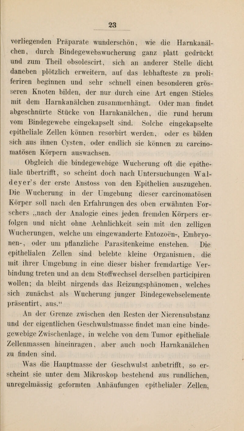 vorliegenden Präparate wunderschön, wie die Harnkanäl¬ chen, durch Bindegewebswucherung ganz platt gedrückt und zum Theil obsolescirt, sich an anderer Stelle dicht daneben plötzlich erweitern, auf das lebhafteste zu proli- feriren beginnen und sehr schnell einen besonderen grös¬ seren Knoten bilden, der nur durch eine Art engen Stieles mit dem Harnkanälchen zusammenhängt. Oder man findet abgeschnürte Stücke von Harnkanälchen, die rund herum vom Bindegewebe eingekapselt sind. Solche eingekapselte epitheliale Zellen können resorbirt werden, oder es bilden sich aus ihnen Cysten, oder endlich sie können zu carcino- matösen Körpern auswachsen. Obgleich die bindegewebige Wucherung oft die epithe¬ liale übertriftt, so scheint doch nach Untersuchungen Wal- deyer’s der erste Anstoss von den Epithelien auszugehen. Die Wucherung in der Umgebung dieser carcinomatösen Körper soll nach den Erfahrungen des oben erwähnten For¬ schers ,,nach der Analogie eines jeden fremden Körpers er¬ folgen und nicht ohne Aehnlichkeit sein mit den zelligen Wucherungen, welche um eingewanderte Entozoen-, Embryo¬ nen-, oder um pflanzliche Parasitenkeime enstehen. Die epithelialen Zellen sind belebte kleine Organismen, die mit ihrer Umgebung in eine dieser bisher fremdartige Ver¬ bindung treten und an dem Stoffwechsel derselben participiren wollen; da bleibt nirgends das Beizungsphänomen, welches sich zunächst als Wucherung junger Bindegewebselemente präsentirt, aus.“ An der Grenze zwischen den Besten der Nierensubstanz und der eigentlichen Geschwulstmasse findet man eine binde¬ gewebige Zwischenlage, in welche von dem Tumor epitheliale Zellenmassen hineinragen, aber auch noch Harnkanälchen zu finden sind. Was die Hauptmasse der Geschwulst anbetrifft, so er¬ scheint sie unter dem Mikroskop bestehend aus rundlichen, unregelmässig geformten Anhäufungen epithelialer Zellen,