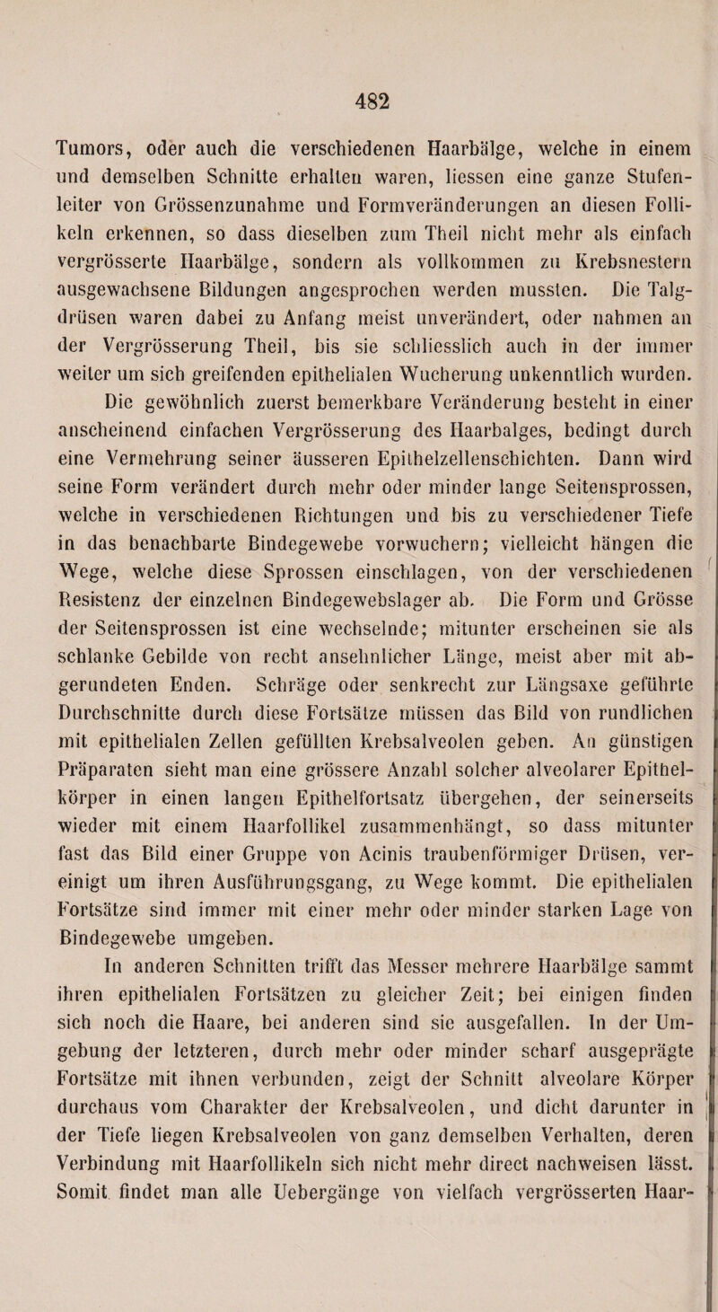 Tumors, oder auch die verschiedenen Haarbälge, welche in einem und demselben Schnitte erhallen waren, Hessen eine ganze Stufen¬ leiter von Grössenzunahme und Formveränderungen an diesen Folli¬ keln erkennen, so dass dieselben zum Theil nicht mehr als einfach vergrösserte Haarbälge, sondern als vollkommen zu Krebsnestern ausgewachsene Bildungen angesprochen werden mussten. Die Talg¬ drüsen waren dabei zu Anfang meist unverändert, oder nahmen an der Vergrösserung Theil, bis sie schliesslich auch in der immer weiter um sich greifenden epithelialen Wucherung unkenntlich wurden. Die gewöhnlich zuerst bemerkbare Veränderung besteht in einer anscheinend einfachen Vergrösserung des Ilaarbalges, bedingt durch eine Vermehrung seiner äusseren Epithelzellenschichten. Dann wird seine Form verändert durch mehr oder minder lange Seitensprossen, welche in verschiedenen Richtungen und bis zu verschiedener Tiefe in das benachbarte Bindegewebe vorwuchern; vielleicht hängen die Wege, welche diese Sprossen einschlagen, von der verschiedenen Resistenz der einzelnen Bindegewebslager ab. Die Form und Grösse der Seitensprossen ist eine wechselnde; mitunter erscheinen sie als schlanke Gebilde von recht ansehnlicher Länge, meist aber mit ab¬ gerundeten Enden. Schräge oder senkrecht zur Längsaxe geführte Durchschnitte durch diese Fortsätze müssen das Bild von rundlichen mit epithelialen Zellen gefüllten Krebsalveolen geben. An günstigen Präparaten sieht man eine grössere Anzahl solcher alveolarer Epithel¬ körper in einen langen Epithelfortsatz übergehen, der seinerseits wieder mit einem Haarfollikel zusammenhängt, so dass mitunter fast das Bild einer Gruppe von Acinis traubenförmiger Drüsen, ver¬ einigt um ihren Ausführungsgang, zu Wege kommt. Die epithelialen Fortsätze sind immer mit einer mehr oder minder starken Lage von Bindegewebe umgeben. In anderen Schnitten trifft das Messer mehrere Haarbälge sammt ihren epithelialen Fortsätzen zu gleicher Zeit; bei einigen finden sich noch die Haare, bei anderen sind sie ausgefallen. In der Um¬ gebung der letzteren, durch mehr oder minder scharf ausgeprägte Fortsätze mit ihnen verbunden, zeigt der Schnitt alveolare Körper durchaus vom Charakter der Krebsalveolen, und dicht darunter in der Tiefe liegen Krebsalveolen von ganz demselben Verhalten, deren Verbindung mit Haarfollikeln sich nicht mehr direct nachweisen lässt. Somit findet man alle Uebergänge von vielfach vergrösserten Haar-