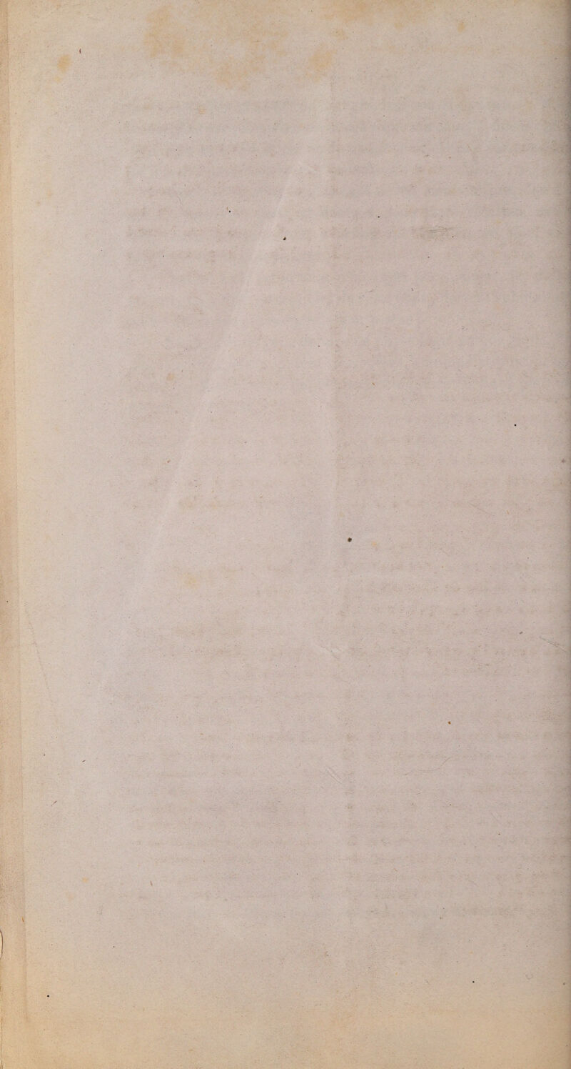 ■■ 1 r. I »■ 5 1 ■ < - ' * 'XJ>