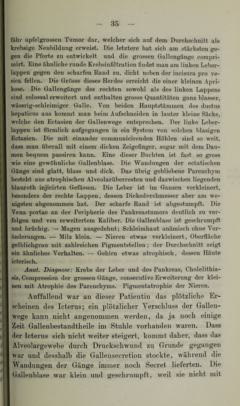 fahr apfelgrossen Tumor dar, welcher sich auf dem Durchschnitt als krebsige Neubildung erweist. Die letztere hat sich am stärksten ge¬ gen die Pforte zu entwickelt und die grossen Gallengänge compri- mirt. Eine ähnliche runde Krebsinfiltration findet man am linken Leber¬ lappen gegen den scharfen Rand zu, dicht neben der incisura pro ve- sica fellea. Die Grösse dieses Herdes erreicht die einer kleinen Apri¬ kose. Die Gallengänge des rechten sowohl als des linken Lappens sind colossal erweitert und enthalten grosse Quantitäten ganz blasser, wässrig-schleimiger Galle. Von beiden Hauptstämmen des ductus hepaticus aus kommt man beim Aufschneiden in lauter kleine Säcke, welche den Ectasien der Gallenwege entsprechen. Der linke Leber¬ lappen ist förmlich aufgegangen in ein System von solchen blasigen Ectasien. Die mit einander communicirenden Höhlen sind so weit, dass man überall mit einem dicken Zeigefinger, sogar mit dem Dau¬ men bequem passiren kann. Eine dieser Buchten ist fast so gross wie eine gewöhnliche Gallenblase. Die Wandungen der ectatischen Gänge sind glatt, blass und dick. Das übrig gebliebene Parenchym besteht aus atrophischen Alveolarüberresten und dazwischen liegenden blauroth injicirten Gefässen. Die Leber ist im Ganzen verkleinert, besonders der rechte Lappen, dessen Dickedorchmesser aber am we¬ nigsten abgenommen hat. Der scharfe Rand ist abgestumpft. Die Vena portae an der Peripherie des Pankreastumors deutlich zu ver¬ folgen und von erweitertem Kaliber. Die Gallenblase ist geschrumpft und brüchig. — Magen ausgedehnt; Schleimhaut anämisch ohne Ver¬ änderungen. — Milz klein. — Nieren etwas verkleinert, Oberfläche gelblichgrau mit zahlreichen Pigmentstellen; der Durchschnitt zeigt ein ähnliches Verhalten. — Gehirn etwas atrophisch, dessen Häute icterisch. Anat. Diagnose: Krebs der Leber und des Pankreas, Cholelithia- sis, Compression der grossen Gänge, consecutive Erweiterung der klei¬ nen mit Atrophie des Parenchyms. Pigmentatrophie der Nieren. Auffallend war an dieser Patientin das plötzliche Er¬ scheinen des Icterus; ein plötzlicher Verschluss der Gallen¬ wege kann nicht angenommen werden, da ja noch einige Zeit Gallenbestandtheile im Stuhle vorhanden waren. Dass der Icterus sich nicht weiter steigert, kommt daher, dass das Alveolargewebe durch Druckschwund zu Grunde gegangen war und desshalb die Gallensecretion stockte, während die Wandungen der Gänge immer noch Secret lieferten. Die Gallenblase war klein und geschrumpft, weil sie nicht mit