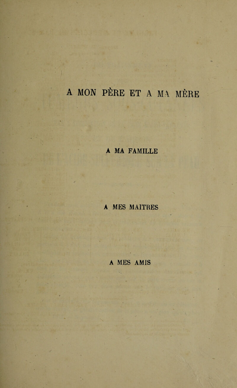 A MON PÈRE ET A MA MÈRE A MA FAMILLE A MES MAITRES * t A MES AMIS
