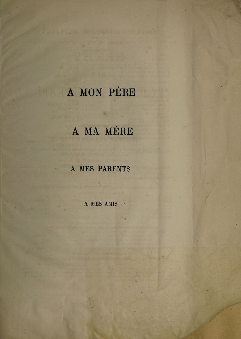 A MON PÈRE A MA MÈRE A MES PARENTS A MES AMIS •