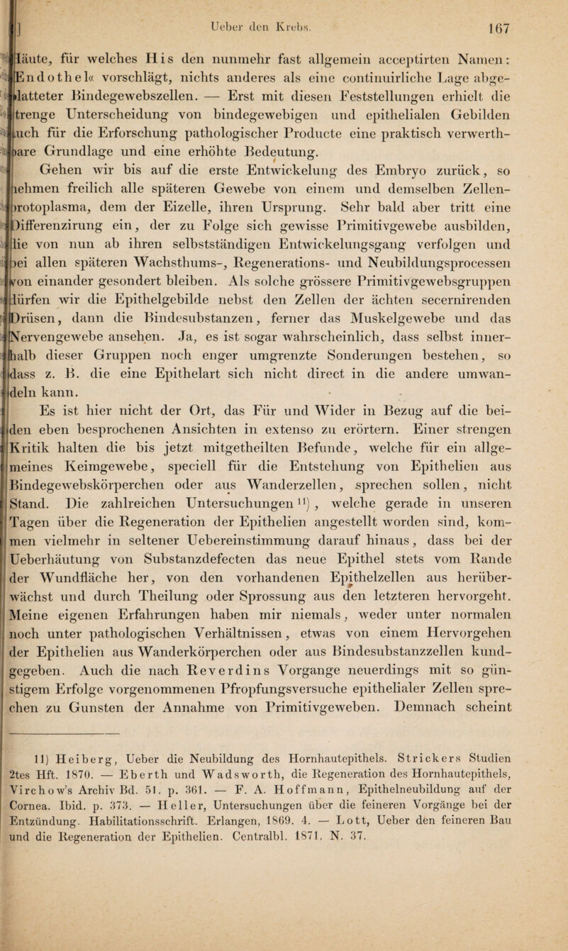 imi ' ö (läute, für welches His den nunmehr fast allgemein acceptirten Namen: [Endothel« vorschlägt, nichts anderes als eine contirmirliche Lage abge- »latteter Bindegewebszellen. — Erst mit diesen Feststellungen erhielt die trenge Unterscheidung von bindegewebigen und epithelialen Gebilden Aich für die Erforschung pathologischer Producte eine praktisch verwerth- Dare Grundlage und eine erhöhte Bedeutung. Gehen wir bis auf die erste Entwickelung des Embryo zurück, so nehmen freilich alle späteren Gewebe von einem und demselben Zellen- irotoplasma, dem der Eizelle, ihren Ursprung. Sehr bald aber tritt eine Differenzirung ein, der zu Folge sich gewisse Primitivgewebe ausbilden, lie von nun ab ihren selbstständigen Entwickelungsgang verfolgen und jei allen späteren Wachsthums-, Regenerations- und Neubildungsprocessen (von einander gesondert bleiben. Als solche grössere Primitivgewebsgruppen ;t dürfen wir die Epithelgebilde nebst den Zellen der ächten secernirenden priisen, dann die Bindesubstanzen, ferner das Muskelgewebe und das (Nervengewebe ansehen. Ja, es ist sogar wahrscheinlich, dass selbst inner- (halb dieser Gruppen noch enger umgrenzte Sonderungen bestehen, so idass z. B. die eine Epithelart sich nicht direct in die andere umwan- jdeln kann. Es ist hier nicht der Ort, das Für und Wider in Bezug auf die hei¬ klen eben besprochenen Ansichten in extenso zu erörtern. Einer strengen Kritik halten die bis jetzt mitgetheilten Befunde, welche für ein allge¬ meines Keimgewebe, speciell für die Entstehung von Epithelien aus Bindegewebskörperchen oder aus Wanderzellen, sprechen sollen, nicht |Stand. Die zahlreichen Untersuchungen11), welche gerade in unseren f Tagen über die Regeneration der Epithelien angestellt worden sind, kom¬ men vielmehr in seltener Uebereinstimmung darauf hinaus, dass bei der ; Ueberhäutung von Substanzdefecten das neue Epithel stets vom Rande : der Wundfläche her, von den vorhandenen Epithelzellen aus herüber- | wächst und durch Theilung oder Sprossung aus den letzteren hervorgeht. Meine eigenen Erfahrungen haben mir niemals, weder unter normalen noch unter pathologischen Verhältnissen, etwas von einem Hervorgehen der Epithelien aus Wanderkörperchen oder aus Bindesubstanzzellen kund¬ gegeben. Auch die nach Reverdins Vorgänge neuerdings mit so giin- j stigem Erfolge vorgenommenen Pfropfungsversuche epithelialer Zellen spre- ,j eben zu Gunsten der Annahme von Primitivgeweben. Demnach scheint 11) Heiberg, Ueber die Neubildung des Hornhautepithels. Strickers Studien 2tes Hft. 1870. — Eberth und Wadsworth, die Regeneration des Hornhautepithels, Virchow’s Archiv Bd. 51. p. 361. — F. A. Hoffmann, Epithelneubildung auf der Cornea. Ibid. p. 373. — Heller, Untersuchungen über die feineren Vorgänge bei der Entzündung. Habilitationsschrift. Erlangen, 1869. 4. — Lott, Ueber den feineren Bau und die Regeneration der Epithelien. Centralbl. 1871, N. 37.