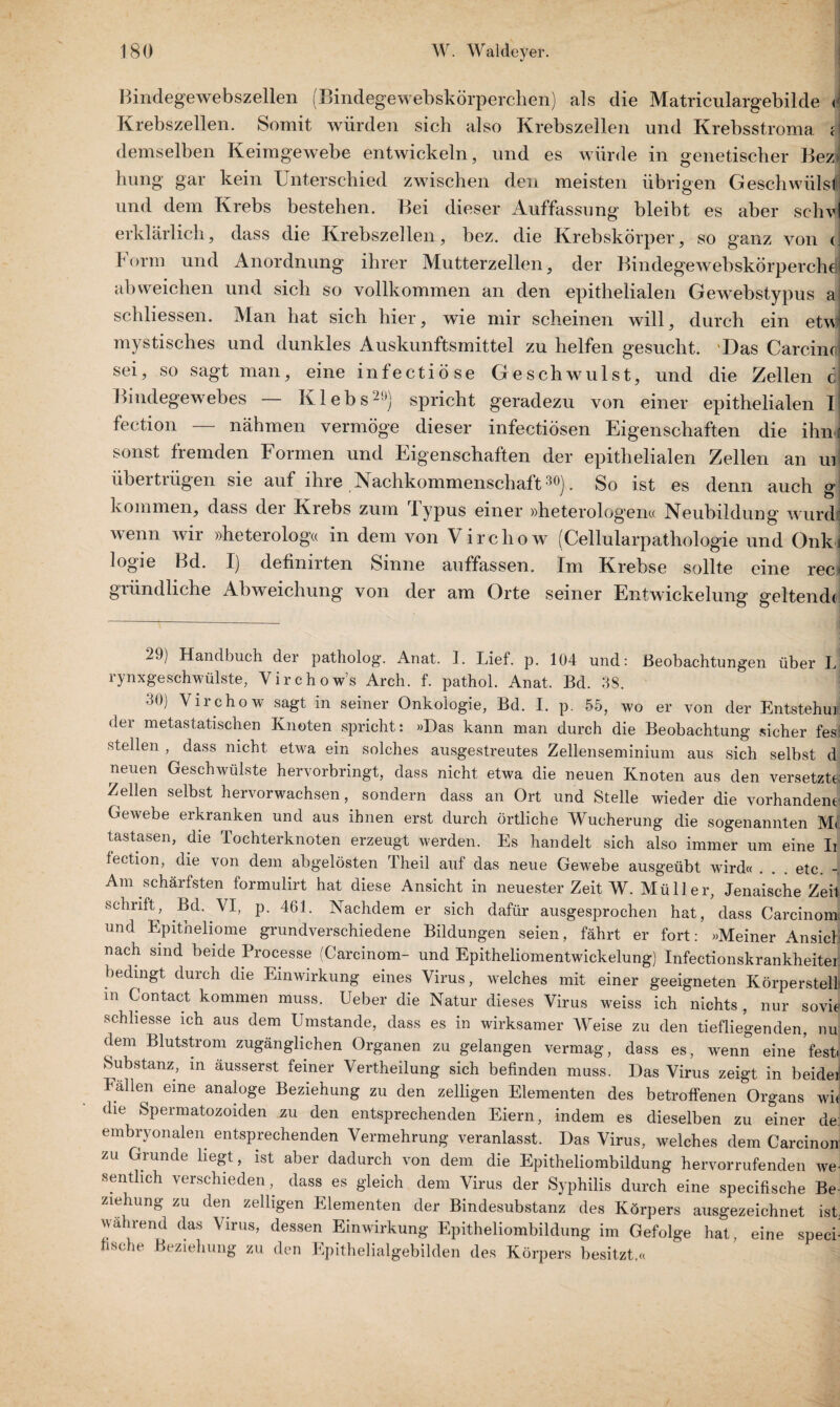 Bindegewebszellen (Bindegewebskörperchen) als die Matriculargebilde c Krebszellen. Somit würden sich also Krebszellen und Krebsstroma C demselben Keimgewebe entwickeln, und es würde in genetischer Bez> hung gar kein Unterschied zwischen den meisten übrigen Geschwülst und dem Krebs bestehen. Bei dieser Auffassung bleibt es aber schvi erklärlich, dass die Krebszellen, bez. die Krebskörper, so ganz von c form und Anordnung ihrer Mutterzellen, der Bindegewebskörperchdj ab weichen und sich so vollkommen an den epithelialen Gewebstypus a schliessen. Man hat sich hier, wie mir scheinen will, durch ein etw mystisches und dunkles Auskunftsmittel zu helfen gesucht. Das Carcind sei, so sagt man, eine infectiöse Geschwulst, und die Zellen d Bindegewebes — Klebs20) spricht geradezu von einer epithelialen I fection — nähmen vermöge dieser infectiösen Eigenschaften die ihm sonst fremden Formen und Eigenschaften der epithelialen Zellen an ml übertrügen sie auf ihre Nachkommenschaft30}. So ist es denn auch g kommen, dass der Krebs zum lypus einer »heterologen« Neubildung wurdi wenn wir »heterolog« in dem von Vircliow (Cellularpathologie und Onki logie Bd. I) definirten Sinne auffassen. Im Krebse sollte eine rec gründliche Abweichung von der am Orte seiner Entwickelung geltende 2J) Handbuch der patholog. Anat. 1. Lief. p. 104 und: Beobachtungen über L rynxgeschwülste, Virchow’s Arch. f. pathol. Anat. Bd. 38. 30) Virchow sagt in seiner Onkologie, Bd. I. p. 55, wo er von der Entstehn] der metastatischen Knoten spricht: «Das kann man durch die Beobachtung sicher fes stellen , dass nicht etwa ein solches ausgestreutes Zellenseminium aus sich selbst d neuen Geschwülste hervorbringt, dass nicht etwa die neuen Knoten aus den versetzte Zellen selbst hervorwachsen, sondern dass an Ort und Stelle wieder die vorhandene Gewebe erkranken und aus ihnen erst durch örtliche Wucherung die sogenannten M< tastasen, die fochterknoten erzeugt werden. Es handelt sich also immer um eine Ii fection, die von dem abgelösten Theil auf das neue Gewebe ausgeübt wird« ... etc. Am schärfsten formulirt hat diese Ansicht in neuester Zeit W. Müller, Jenaische Zeil schrift, Bd. VI, p. 461. Nachdem er sich dafür ausgesprochen hat, dass Carcinom und Epitheliome grundverschiedene Bildungen seien, fährt er fort: «Meiner Ansicl nach sind beide Processe (Carcinom- und Epitheliomentwickelung) Infectionskrankheitei bedingt durch die Einwirkung eines Virus, welches mit einer geeigneten Körperstell in Contact kommen muss. Ueber die Natur dieses Virus weiss ich nichts , nur sovie schliesse ich aus dem Umstande, dass es in wirksamer AVeise zu den tiefliegenden, nu dem Blutstrom zugänglichen Organen zu gelangen vermag, dass es, wenn eine fest« Substanz, in äusserst feiner Vertheilung sich befinden muss. Das Virus zeigt in beidef Fallen eine analoge Beziehung zu den zelligen Elementen des betroffenen Organs wi( die Spermatozoiden zu den entsprechenden Eiern, indem es dieselben zu einer de embryonalen entsprechenden Vermehrung veranlasst. Das Virus, welches dem Carcinon zu Grunde liegt, ist aber dadurch von dem die Epitheliombildung hervorrufenden we sentlieh verschieden, dass es gleich dem Virus der Syphilis durch eine specifische Be Ziehung zu den zelligen Elementen der Bindesubstanz des Körpers ausgezeichnet ist. während das Virus, dessen Einwirkung Epitheliombildung im Gefolge hat, eine specl fische Beziehung zu den Epithelialgebilden des Körpers besitzt.«