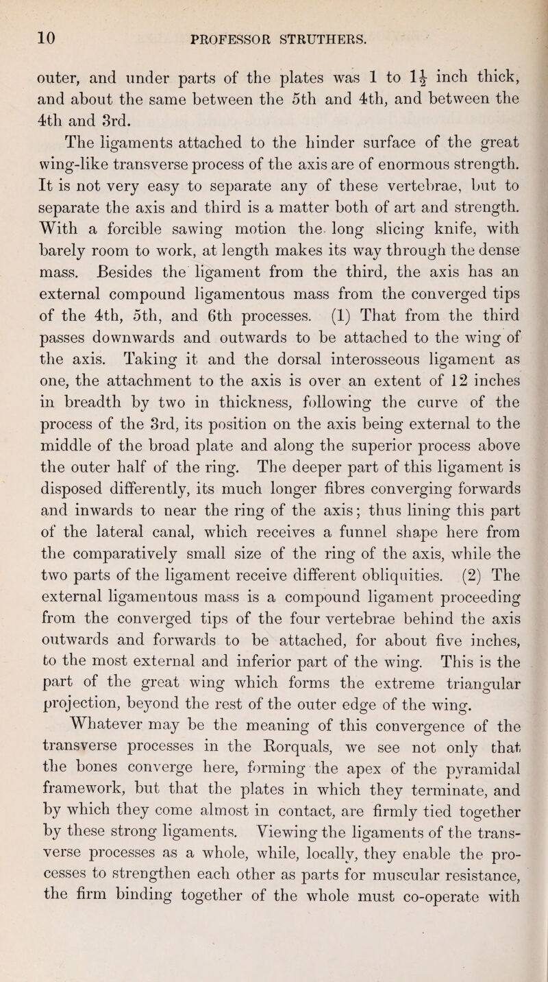 outer, and under parts of the plates was 1 to 1^ inch thick, and about the same between the 5th and 4th, and between the 4th and 3rd. The ligaments attached to the hinder surface of the great wing-like transverse process of the axis are of enormous strength. It is not very easy to separate any of these vertebrae, but to separate the axis and third is a matter both of art and strength. With a forcible sawing motion the. long slicing knife, with barely room to work, at length makes its way through the dense mass. Besides the ligament from the third, the axis has an external compound ligamentous mass from the converged tips of the 4th, 5th, and 6th processes. (1) That from the third passes downwards and outwards to be attached to the wing of the axis. Taking it and the dorsal interosseous ligament as one, the attachment to the axis is over an extent of 12 inches in breadth by two in thickness, following the curve of the process of the 3rd, its position on the axis being external to the middle of the broad plate and along the superior process above the outer half of the ring. The deeper part of this ligament is disposed differently, its much longer fibres converging forwards and inwards to near the ring of the axis; thus lining this part of the lateral canal, which receives a funnel shape here from the comparatively small size of the ring of the axis, while the two parts of the ligament receive different obliquities. (2) The external ligamentous mass is a compound ligament proceeding from the converged tips of the four vertebrae behind the axis outwards and forwards to be attached, for about five inches, to the most external and inferior part of the wing. This is the part of the great wing which forms the extreme triangular projection, bejmnd the rest of the outer edge of the wing. Whatever may be the meaning of this convergence of the transverse processes in the Rorquals, we see not only that the bones converge here, forming the apex of the pyramidal framework, but that the plates in which they terminate, and by which they come almost in contact, are firmly tied together by these strong ligaments. Viewing the ligaments of the trans¬ verse processes as a whole, while, locally, they enable the pro¬ cesses to strengthen each other as parts for muscular resistance, the firm binding together of the whole must co-operate with