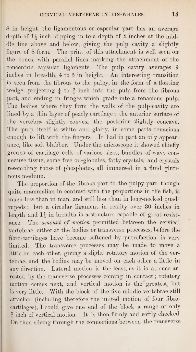 8 in height, the ligamentous or capsular part has an average depth of 14 inch, dipping in to a depth of 2 inches at the mid¬ dle line above and below, giving the pulp cavity a slightly figure of 8 form. The print of this attachment is well seen on the bones, with parallel lines marking the attachment of the concentric capsular ligaments. The pulp cavity averages 9 inches in breadth, 4 to 5 in height. An interesting transition is seen from the fibrous to the pulpy, in the form of a floating wedge, projecting J to f inch into the pulp from the fibrous part, and ending in fringes which grade into a tenacious pulp. The bodies where they form the walls of the pulp-cavity are lined by a thin layer of pearly cartilage ; the anterior surface of the vertebra slightly convex, the posterior slightly concave. The pulp itself is white and glairy, in some parts tenacious enough to lift with the fingers. It had in part an oily appear¬ ance, like soft blubber. Under the microscope it showed chiefly groups of cartilage cells of various sizes, bundles of wavy con¬ nective tissue, some free oil-globules, fatty crystals, and crystals resembling those of phosphates, all immersed in a fluid gluti¬ nous medium. The proportion of the fibrous part to the pulpy part, though quite mammalian in contrast with the proportions in the fish, is much less than in man, and still less than in long-necked quad¬ rupeds ; but a circular ligament in reality over 30 inches in length and 1J in breadth is a structure capable of great resist¬ ance. The amount of motion permitted between the cervical vertebrae, either at the bodies or transverse processes, before the fibro-cartilages have become softened by putrefaction is very limited. The transverse processes may be made to move a little on each other, giving a slight rotatory motion of the ver¬ tebrae, and the bodies mav be moved on each other a little in any direction. Lateral motion is the least, as it is at once ar¬ rested by the transverse processes coming in contact; rotatory motion comes next, and vertical motion is the greatest, but is very little. With the block of the five middle vertebrae still attached (including therefore the united motion of four fibro- cartilages), I could give one end of the block a range of only f inch of vertical motion. It is then firmly and softly checked. On then slicing through the connections between the transverse