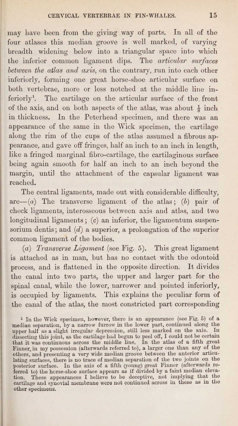 may have been from the giving way of parts. In all of the four atlases this median groove is well marked, of varying breadth widening below into a triangular space into which the inferior common ligament dips. The articular surfaces between the atlas and axis, on the contrary, run into each other interiorly, forming one great horse-shoe articular surface on both vertebrae, more or less notched at the middle line in¬ teriorly1. The cartilage on the articular surface of the. front of the axis, and on both aspects of the atlas, was about inch in thickness. In the Peterhead specimen, and there was an appearance of the same in the Wick specimen, the cartilage along the rim of the cups of the atlas assumed a fibrous ap¬ pearance, and gave off fringes, half an inch to an inch in length, like a fringed marginal fibro-cartilage, the cartilaginous surface being again smooth for half an inch to an inch beyond the margin, until the attachment of the capsular ligament was reached. The central ligaments, made out with considerable difficulty, are—(a) The transverse ligament of the atlas; (b) pair of check ligaments, interosseous between axis and atlas, and two longitudinal ligaments; (c) an inferior, the ligamentum suspen- sorium dentis; and [d) a superior, a prolongation of the superior common ligament of the bodies. (a) Transverse Ligament (see Fig. 5). This great ligament is attached as in man, but has no contact with the odontoid process, and is flattened in the opposite direction. It divides the canal into two parts, the upper and larger part for the spinal canal, while the lower, narrower and pointed inferiorly, is occupied by ligaments. This explains the peculiar form of the canal of the atlas, the most constricted part corresponding 1 In the Wick specimen, however, there is an appearance (see Fig. 5) of a median separation, by a narrow furrow in the lower part, continued along the upper half as a slight irregular depression, still less marked on the axis. In dissecting this joint, as the cartilage had begun to peel off, I could not he certain that it was continuous across the middle line. In the atlas of a fifth great Finner in my possession (afterwards referred to), a larger one than any of the others, and presenting a very wide median groove between the anterior articu¬ lating surfaces, there is no trace of median separation of the two joints on the posterior surface. In the axis of a fifth (young) great Finner (afterwards re¬ ferred to) the horse-shoe surface appears as if divided by a faint median eleva¬ tion. These appearances I believe to be deceptive, not implying that the cartilage and synovial membrane were not continued across in these as in the other specimens.