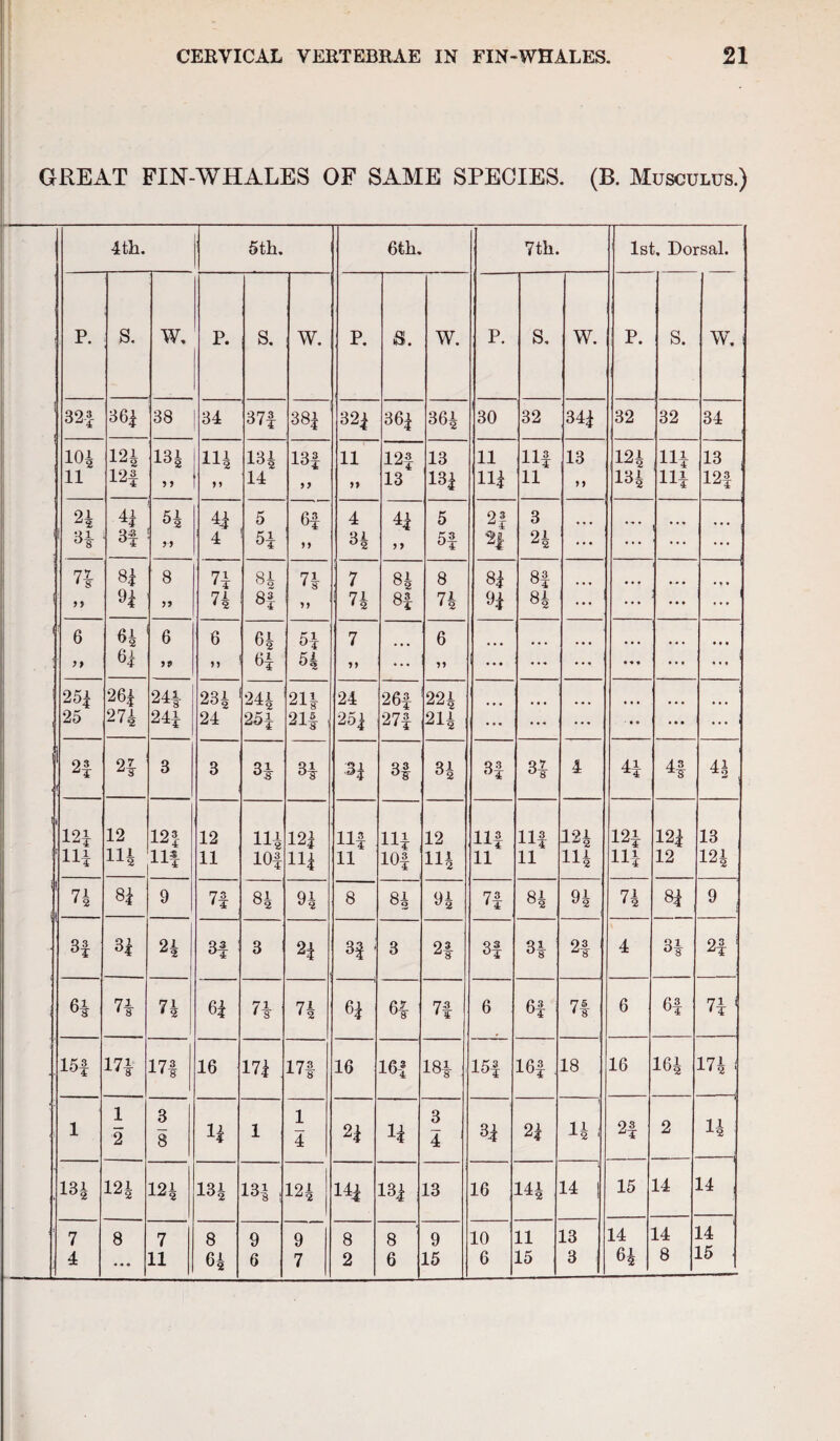 GREAT FIN-WHALES OF SAME SPECIES. (B. Musculus.) 4th. 5th. 6th. 7th. 1st. Dorsal. P. S. W. P. s. W. P. S. W. P. S. W. P. S. W. ' 32|- 36| 38 34 374 384 324 364 364 30 32 341 32 32 34 104 121 131 111 13i 13f 11 124 13 11 HI 13 124 HI 13 n 12f 9 9 99 14 99 99 13 131 HI 11 99 134 HI 124 21 II 51 H 5 6| 4 H 5 2! 3 ' 3* 3f 99 4 51 99 34 9 9 54 24 24 ... ... ... 7* 84 8 71 84 74 ' 7 84 8 81 84 ... ... 1 99 91 99 74 8f 9 9 i 74 84 74 91 84 ... ... ... |! 6 6i 6 6 64 51 7 6 ... 9} 61 99 99 51 54 99 ... 99 l ... ... • » ... ... 1 254 264 241 23i 24i 214 24 264 221 ... ... 25 271 24i 24 25i 21| , 254 274 214 ••• ... • • a ... ... ! 2f 21 3 3 3J 34 34 3f 34 34 34 4 If 44 l24 12 12| 12 114 124 114 111 12 114 114 124 121 121 13 iH Hi 11 10f HI 11 104 114 11 11 114 HI 12 124 ' 74 81 9 7f 84 94 8 84 94 7f 84 94 74 81 9 3f 34 24 3f 3 21 3| ■ 3 2! 34 34 2f 4 34 21 71 74 64 71 74 61 64 7f 6 61 7f 6 61 71 1 .151 HI 17! 16 174 17f 16 16-1 181 154 I64 18 16 164 174 1 , 1 1 2 3 8 H 1 1 4 21 3 4 31 21 14 ■ 24 2 14 .131 121 124 134 13| ! 124 141 131 13 16 144 14 | 15 14 14 : 7 8 7 8 9 9 8 8 9 10 11 13 14 14 14 4 ... 11 64 6 7 2 6 15 6 15 3 65 8 15