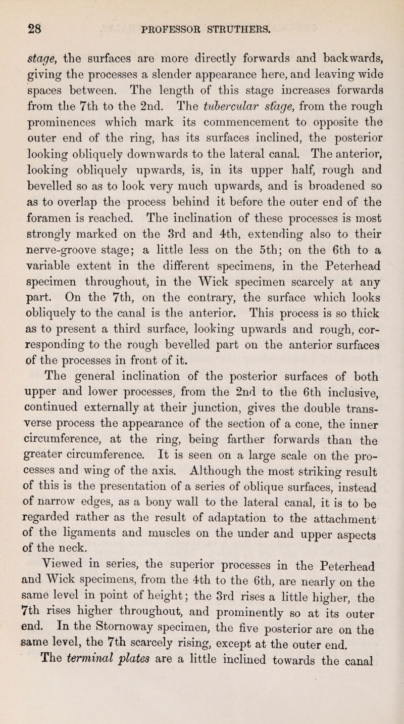 stage, the surfaces are more directly forwards and backwards, giving the processes a slender appearance here, and leaving wide spaces between. The length of this stage increases forwards from the 7th to the 2nd. The tubercular stage, from the rough prominences which mark its commencement to opposite the outer end of the ring, has its surfaces inclined, the posterior looking obliquely downwards to the lateral canal. The anterior, looking obliquely upwards, is, in its upper half, rough and bevelled so as to look very much upwards, and is broadened so as to overlap the process behind it before the outer end of the foramen is reached. The inclination of these processes is most strongly marked on the 3rd and 4th, extending also to their nerve-groove stage; a little less on the 5th; on the 6th to a variable extent in the different specimens, in the Peterhead specimen throughout, in the Wick specimen scarcely at any part. On the 7th, on the contrary, the surface which looks obliquely to the canal is the anterior. This process is so thick as to present a third surface, looking upwards and rough, cor¬ responding to the rough bevelled part on the anterior surfaces of the processes in front of it. The general inclination of the posterior surfaces of both upper and lower processes, from the 2nd to the 6th inclusive, continued externally at their junction, gives the double trans¬ verse process the appearance of the section of a cone, the inner circumference, at the ring, being farther forwards than the greater circumference. It is seen on a large scale on the pro¬ cesses and wing of the axis. Although the most striking result of this is the presentation of a series of oblique surfaces, instead of narrow edges, as a bony wall to the lateral canal, it is to be regarded rather as the result of adaptation to the attachment of the ligaments and muscles on the under and upper aspects of the neck. Viewed in series, the superior processes in the Peterhead and Wick specimens, from the 4th to the 6th, are nearly on the same level in point of height; the 3rd rises a little higher, the 7th rises higher throughout, and prominently so at its outer end. In the Stornoway specimen, the five posterior are on the same level, the 7th scarcely rising, except at the outer end. The terminal plates are a little inclined towards the canal