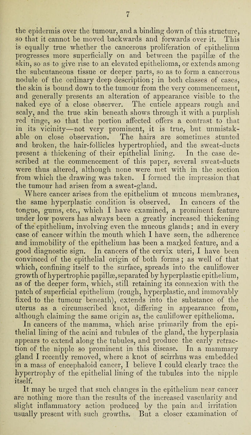 the epidermis over the tumour, and a binding down of this structure, so that it cannot be moved backwards and forwards over it. This is equally true whether the cancerous proliferation of epithelium progresses more superficially on and between the papillae of the skin, so as to give rise to an elevated epithelioma, or extends among the subcutaneous tissue or deeper parts, so as to form a cancerous nodule of the ordinary deep description; in both classes of cases, the skin is bound down to the tumour from the very commencement, and generally presents an alteration of appearance visible to the naked eye of a close observer. The cuticle appears rough and scaly, and the true skin beneath shows through it with a purplish red tinge, so that the portion affected offers a contrast to that in its vicinity—not very prominent, it is true, but unmistak¬ able on close observation. The hairs are sometimes stunted and broken, the hair-follicles hypertrophied, and the sweat-ducts present a thickening of their epithelial lining. In the case de¬ scribed at the commencement of this paper, several sweat-ducts were thus altered, although none were met w7ith in the section from which the drawing was taken. I formed the impression that the tumour had arisen from a sweat-gland. Where cancer arises from the epithelium ot mucous membranes, the same hyperplastic condition is observed. In cancers of the tongue, gums, etc., which I have examined, a prominent feature under low powers has always been a greatly increased thickening of the epithelium, involving even the mucous glands ; and in every case of cancer within the mouth which I have seen, the adherence and immobility of the epithelium has been a marked feature, and a good diagnostic sign. In cancers of the cervix uteri, I have been convinced of the epithelial origin of both forms ; as well of that which, confining itself to the surface, spreads into the cauliflower growth of hypertrophic papillm, separated by hyperplastic epithelium, as of the deeper form, which, still retaining its connexion with the patch of superficial epithelium (rough, hyperplastic, and immovably fixed to the tumour beneath), extends into the substance of the uterus as a circumscribed knot, differing in appearance from, although claiming the same origin as, the cauliflower epithelioma. In cancers of the mamma, which arise primarily from the epi¬ thelial lining of the acini and tubules of the gland, the hyperplasia appears to extend along the tubules, and produce the early retrac¬ tion of the nipple so prominent in this disease. In a mammary gland I recently removed, where a knot of scirrhus was embedded in a mass of encephaloid cancer, I believe I could clearly trace the hypertrophy of the epithelial lining of the tubules into the nipple itself. It may be urged that such changes in the epithelium near cancer are nothing more than the results of the increased vascularity and slight inflammatory action produced by the pain and irritation usually present with such growths. But a closer examination of