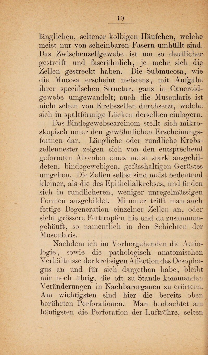 länglichen, seltener kolbigen Häufchen, welche meist nur von scheinbaren Fasern umhüllt sind. Das Zwischenzellgewebe ist um so deutlicher gestreift und faserähnlich, je mehr sich die Zellen gestreckt haben. Die Submucosa, wie die Mucosa erscheint meistens, mit Aufgabe ihrer specifischen Structur, ganz in Cancroid- gewebe umgewandelt; auch die Muscularis ist nicht selten von Krebszellen durchsetzt, welche sich in spaltförmige Lücken derselben einlagern. Das Bindegewebscarcinom stellt sich mikro¬ skopisch unter den gewöhnlichen Erscheinungs¬ formen dar. Längliche oder rundliche Krebs¬ zellennester zeigen sich von den entsprechend geformten Alveolen eines meist stark ausgebil¬ deten, bindegewebigen, gef asshaltigen Gerüstes umgeben. Die Zellen selbst sind meist bedeutend kleiner, als die des Epithelialkrebses, und finden sich in rundlicheren, weniger unregelmässigen Formen ausgebildet. Mitunter trifft man auch fettige Degeneration einzelner Zellen an, oder sieht grössere Fetttropfen hie und da zusammen¬ gehäuft, so namentlich in den Schichten der Muscularis. Nachdem ich im Vorhergehenden die Aetio- logie, sowie die pathologisch anatomischen Verhältnisse der krebsigen Affection des Oesopha¬ gus an und für sich dargethan habe, bleibt mir noch übrig, die oft zu Stande kommenden Veränderungen in Nachbarorganen zu erörtern. Am wichtigsten sind hier die bereits oben berührten Perforationen. Man beobachtet ain häufigsten die Perforation der Luftröhre, selten