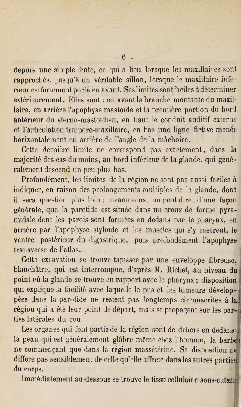 depuis une simple fente, ce qui a lieu lorsque les maxillaires sont rapprochés, jusqu’à un véritable sillon, lorsque le maxillaire infé¬ rieur estfor tement porté en avant. Ses limites sont faciles à déterminer extérieurement. Elles sont : en avant la branche montante du maxil¬ laire, en arrière l’apophyse mastoïde et la première portion du bord antérieur du sterno-mastoïdien, en haut le conduit auditif externe et l’articulation temporo-maxillaire, en bas une ligne fictive menée horizontalement en arrière de l’angle de la mâchoire. Cette dernière limite ne correspond pas exactement, dans la majorité des cas du moins, au bord inférieur de la glande, qui géné¬ ralement descend un peu plus bas. Profondément, les limites de la région ne sont pas aussi faciles à indiquer, en raison des prolongements multiples de la glande, dont il sera question plus loin ; néanmoins, on peut dire, d’une façon générale, que la parotide est située dans un creux de forme pyra¬ midale dont les parois sont formées en dedans par le pharynx, en arrière par l’apophyse styloïde et les muscles qui s’y insèrent, le ventre postérieur du digastrique, puis profondément l’apophyse transverse de l’atlas. Celte excavation se trouve tapissée par une enveloppe fibreuse, blanchâtre, qui est interrompue, d’après M. Richet, au niveau du point où la glande se trouve en rapport avec le pharynx ; disposition : qui explique la facilité avec laquelle le pus et les tumeurs dévelop- c pées dans la parotide ne restent pas longtemps circonscrites à la;] région qui a été leur point de départ, mais se propagent sur les par¬ ties latérales du cou. Les organes qui font partie de la région sont de dehors en dedans:,r la peau qui est généralement glâbre même chez l’homme, la barbéi ne commençant que dans la région massétérine. Sa disposition ne diffère pas sensiblement de celle qu’elle affecte dans les autres partie? du corps. Immédiatement au-dessous se trouve le tissu cellulair e sous-cutan u