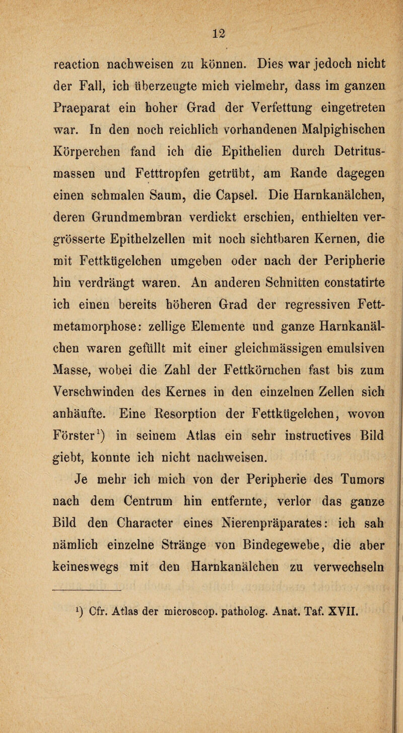 reaction nachweisen zu können. Dies war jedoch nicht der Fall, ich überzeugte mich vielmehr, dass im ganzen Praeparat ein hoher Grad der Verfettung eingetreten war. In den noch reichlich vorhandenen Malpighischen Körperchen fand ich die Epithelien durch Detritus¬ massen und Fetttropfen getrübt, am Rande dagegen einen schmalen Saum, die Capsel. Die Harnkanälchen, deren Grundmembran verdickt erschien, enthielten ver- grösserte Epithelzellen mit noch sichtbaren Kernen, die mit Fettkügelchen umgeben oder nach der Peripherie hin verdrängt waren. An anderen Schnitten constatirte ich einen bereits höheren Grad der regressiven Fett¬ metamorphose : zellige Elemente und ganze Harnkanäl¬ chen waren gefüllt mit einer gleichmässigen emulsiven Masse, wobei die Zahl der Fettkörnchen fast bis zum Verschwinden des Kernes in den einzelnen Zellen sich anhäufte. Eine Resorption der Fettkügelchen, wovon Förster1) in seinem Atlas ein sehr instructives Bild giebt, konnte ich nicht nachweisen. Je mehr ich mich von der Peripherie des Tumors nach dem Centrum hin entfernte, verlor das ganze Bild den Character eines Nierenpräparates: ich sah nämlich einzelne Stränge von Bindegewebe, die aber keineswegs mit den Harnkanälchen zu verwechseln 0 Cfr. Atlas der microscop. patholog. Anat. Taf. XVII.