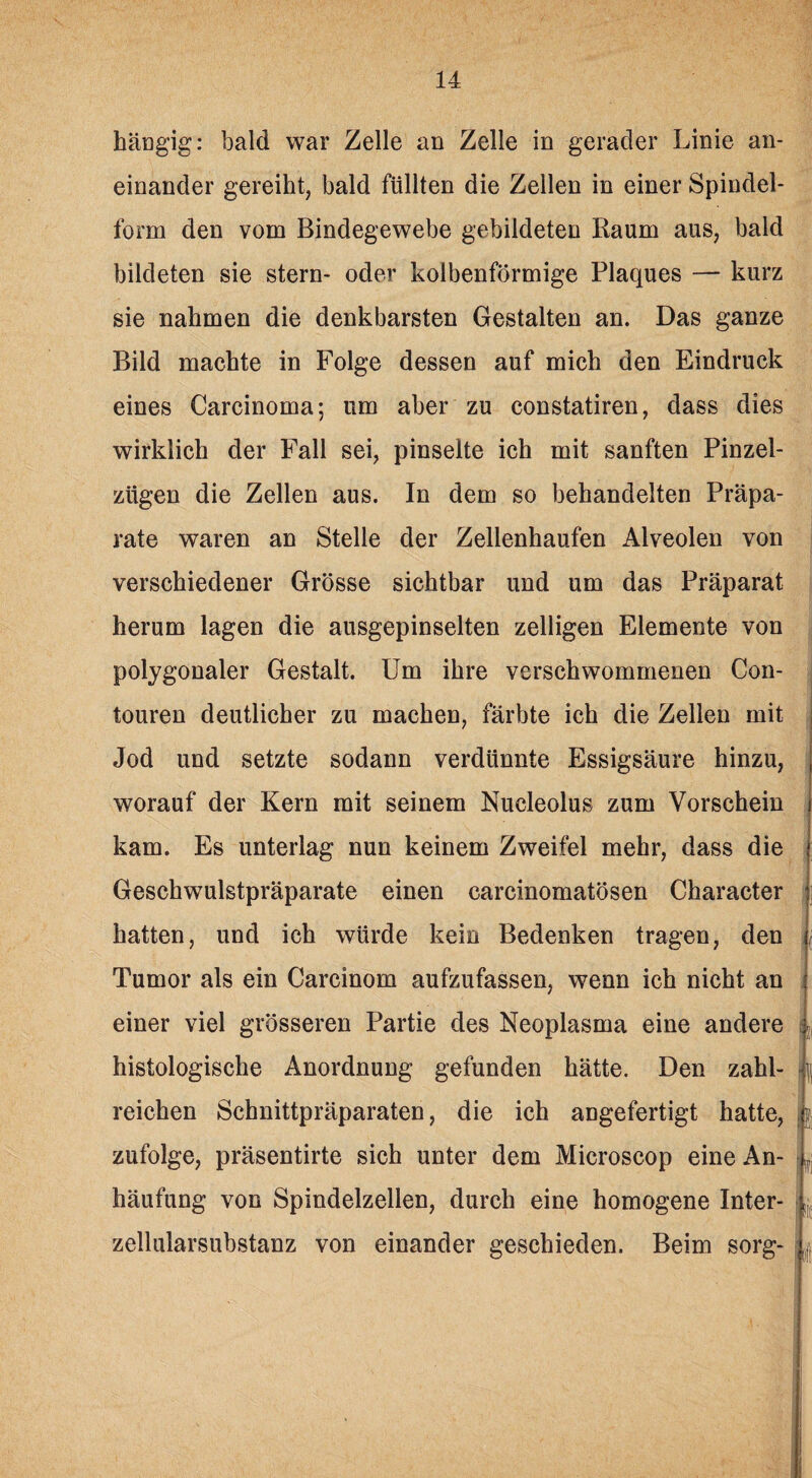 hängig: bald war Zelle an Zelle in gerader Linie an¬ einander gereiht, bald füllten die Zellen in einer Spindel¬ form den vom Bindegewebe gebildeten Raum aus, bald bildeten sie stern- oder kolbenförmige Plaques — kurz sie nahmen die denkbarsten Gestalten an. Das ganze Bild machte in Folge dessen auf mich den Eindruck eines Carcinoma; um aber zu constatiren, dass dies wirklich der Fall sei, pinselte ich mit sanften Pinzei- ztigen die Zellen aus. In dem so behandelten Präpa¬ rate waren an Stelle der Zellenhaufen Alveolen von verschiedener Grösse sichtbar und um das Präparat herum lagen die ausgepinselten zelligen Elemente von polygonaler Gestalt. Um ihre verschwommenen Con- touren deutlicher zu machen, färbte ich die Zellen mit Jod und setzte sodann verdünnte Essigsäure hinzu, worauf der Kern mit seinem Nucleolus zum Vorschein kam. Es unterlag nun keinem Zweifel mehr, dass die Geschwulstpräparate einen carcinomatösen Character hatten, und ich würde kein Bedenken tragen, den Tumor als ein Carcinom aufzufassen, wenn ich nicht an einer viel grösseren Partie des Neoplasma eine andere histologische Anordnung gefunden hätte. Den zahl¬ reichen Schnittpräparaten, die ich angefertigt hatte, zufolge, präsentirte sich unter dem Microscop eine An¬ häufung von Spindelzellen, durch eine homogene Inter¬ zellularsubstanz von einander geschieden. Beim sorg-