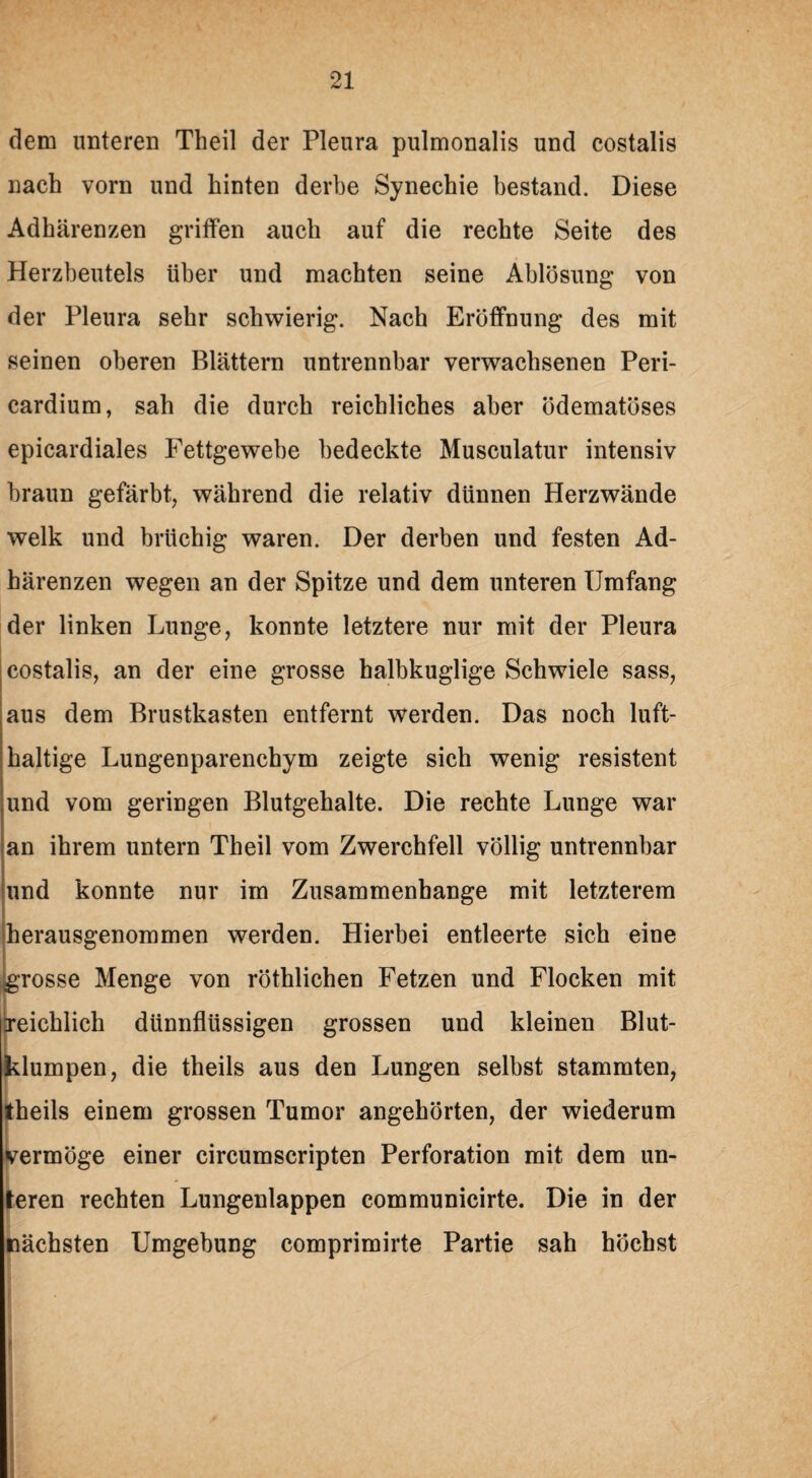 dem unteren Theil der Pleura pulmonalis und costalis nach vorn und hinten derbe Synechie bestand. Diese Adhärenzen griffen auch auf die rechte Seite des Herzbeutels über und machten seine Ablösung von der Pleura sehr schwierig. Nach Eröffnung des mit seinen oberen Blättern untrennbar verwachsenen Peri- cardium, sah die durch reichliches aber ödematöses epicardiales Fettgewebe bedeckte Musculatur intensiv braun gefärbt, während die relativ dünnen Herzwände welk und brüchig waren. Der derben und festen Ad¬ härenzen wegen an der Spitze und dem unteren Umfang der linken Lunge, konnte letztere nur mit der Pleura costalis, an der eine grosse halbkuglige Schwiele sass, aus dem Brustkasten entfernt werden. Das noch luft¬ haltige Lungenparenchym zeigte sich wenig resistent und vom geringen Blutgehalte. Die rechte Lunge war an ihrem untern Theil vom Zwerchfell völlig untrennbar und konnte nur im Zusammenhänge mit letzterem herausgenommen werden. Hierbei entleerte sich eine grosse Menge von röthlichen Fetzen und Flocken mit reichlich dünnflüssigen grossen und kleinen Blut¬ klumpen, die theils aus den Lungen selbst stammten, theils einem grossen Tumor angehörten, der wiederum vermöge einer circumscripten Perforation mit dem un¬ teren rechten Lungenlappen communicirte. Die in der nächsten Umgebung comprimirte Partie sah höchst