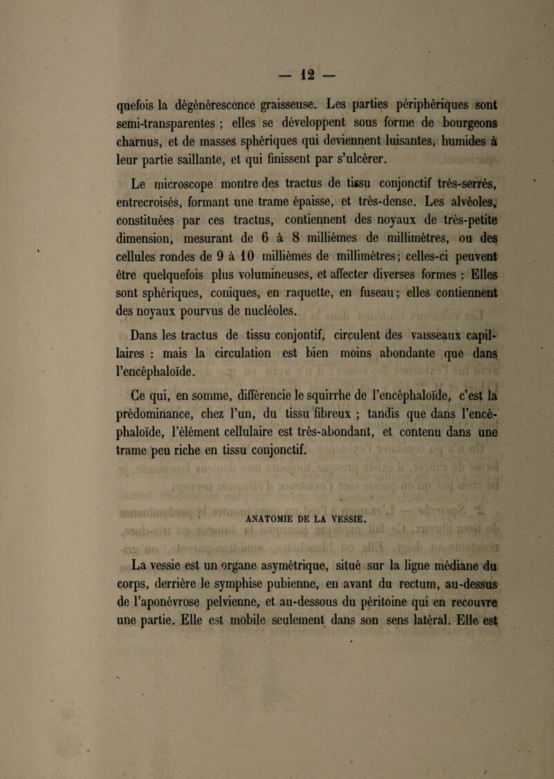 quefois la dégénérescence graisseuse. Les parties périphériques sont semi-transparentes ; elles se développent sous forme de bourgeons charnus, et de masses sphériques qui deviennent luisantes, humides à leur partie saillante, et qui finissent par s’ulcérer. Le microscope montre des tractus de tissu conjonctif trés-serrès, entrecroisés, formant une trame épaisse, et très-dense. Les alvéoles, constituées par ces tractus, contiennent des noyaux de très-petite dimension, mesurant de 6 à 8 millièmes de millimètres, ou des cellules rondes de 9 à 10 millièmes de millimètres; celles-ci peuvent être quelquefois plus volumineuses, et affecter diverses formes : Elles sont sphériques, coniques, en raquette, en fuseau ; elles contiennent des noyaux pourvus de nucléoles. Dans les tractus de tissu conjontif, circulent des vaisseaux capil¬ laires : mais la circulation est bien moins abondante que dans l’encéphaloïde. Ce qui, en somme, différencie le squirrhe de l’encéphaloïde, c’est la prédominance, chez l’un, du tissu fibreux ; tandis que dans l’encé- phaloïde, l’élément cellulaire est très-abondant, et contenu dans une trame peu riche en tissu conjonctif. ^ #1 • • ; \ ANATOMIE DE LA VESSIE. La vessie est un organe asymétrique, situé sur la ligne médiane du corps, derrière le symphise pubienne, en avant du rectum, au-dessus de l’aponévrose pelvienne, et au-dessous du péritoine qui en recouvre une partie. Elle est mobile seulement dans son sens latéral. Elle est