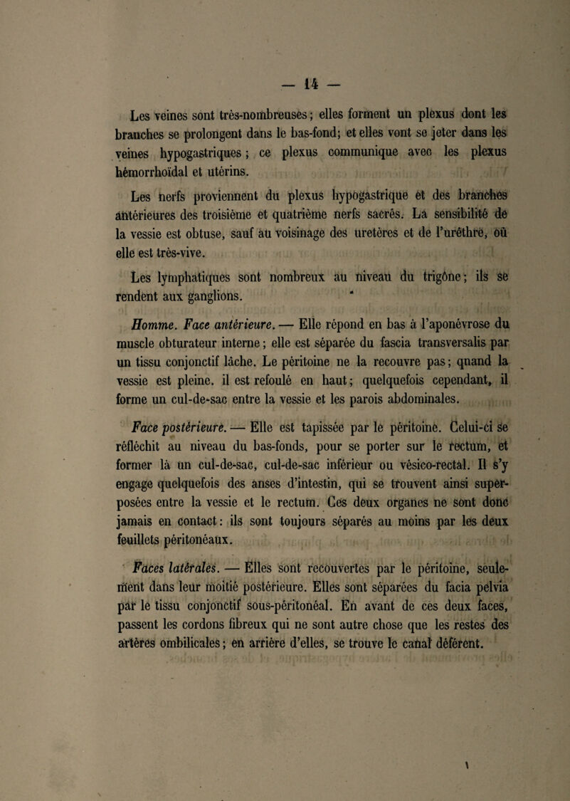 Les veines sont très-nombreuses ; elles forment un plexus dont les branches se prolongent dans le bas-fond; et elles vont se jeter dans les veines hypogastriques ; ce plexus communique avec les plexus hémorrhoïdal et utérins. Les nerfs proviennent du plexus hypogastrique et des branches Antérieures des troisième et quatrième nerfs sacrés. La sensibilité de la vessie est obtuse, sauf aü voisinage des uretères et de l’urêthrë, où elle est très-vive. Les lymphatiques sont nombreux au niveau du trigône; ils se rendent aux ganglions. Homme. Face antérieure. — Elle répond en bas à l’aponévrose du muscle obturateur interne ; elle est séparée du fascia transversale par un tissu conjonctif lâche. Le péritoine ne la recouvre pas ; qnand la vessie est pleine, il est refoulé en haut ; quelquefois cependant, il forme un cul-de-sac entre la vessie et les parois abdominales. Face postérieure. — Elle est tapissée par le péritoine. Celui-ci Se réfléchit au niveau du bas-fonds, pour se porter sur le tectum, et former là un cul-de-sac, cul-de-sac inférieur ou vésico-rectàl. Il s’y engage quelquefois des anses d’intestin, qui se trouvent ainsi super¬ posées entre la vessie et le rectum. Ces deux organes ne sont donc jamais en contact : ils sont toujours séparés au moins par les deux feuillets péritonéaux. Faces latérales. — Elles sont recouvertes par le péritoine, seule¬ ment dans leur moitié postérieure. Elles sont séparées du facia pelvia par le tissu conjonctif sous-péritonéal. En avant de ces deux faces, passent les cordons fibreux qui ne sont autre chose que les restes des artères ombilicales ; en arrière d’elles, se trouve le canal déférent. \