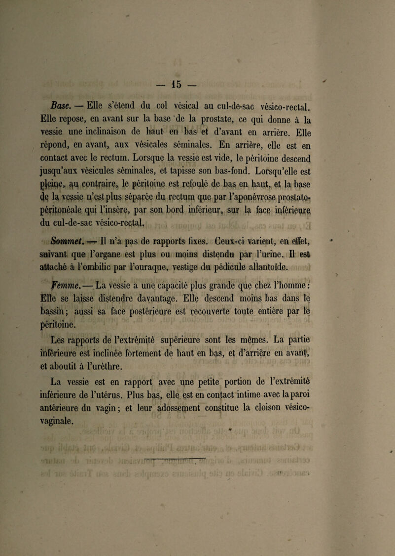 Base. — Elle s’étend du col vésical au cul-de-sac vésico-rectal. Elle repose, en avant sur la base de la prostate, ce qui donne à la vessie une inclinaison de haut- en bas et d’avant en arrière. Elle répond, en avant, aux vésicales séminales. En arrière, elle est en contact avec le rectum. Lorsque la vessie est vide, le péritoine descend jusqu’aux vésicules séminales, et tapisse son bas-fond. Lorsqu’elle est pjeine, qu contraire, le péritoine est refoulé de bas en haut, et la base ^e la, vessie n’est plus séparée du rectum que par l’aponévrose prostato- péritonéale qui l’insère, par son bord inférieur, sur la face inférieure, du cul-de-sac vésico-rectal. Sommet. —^ Il n’a pas de rapports fixes. Ceux-ci varient, en effet, suivant que l’organe est plus ou moins distendu par l’urine. Il est attaché à l’ombilic par l’ouraque, vestige du pédicule allantoïde. Femme.— La vessie a une capacité plus grande que chez l’homme: Elle se laisse distendre davantage. Elle descend moins bas dans le bassin; aussi sa face postérieure est recouverte toute entière par le péritoine. Les rapports de l’extrémité supérieure sont les mêmes. La partie inférieure est inclinée fortement de haut en bas, et d’arrière en avant, et aboutit à l’urèthre. La vessie est en rapport avec une petite portion de l’extrémité inférieure de l’utérus. Plus bas, elle est en contact intime avec la paroi antérieure du vagin ; et leur adossement constitue la cloison vésico- vaginale.