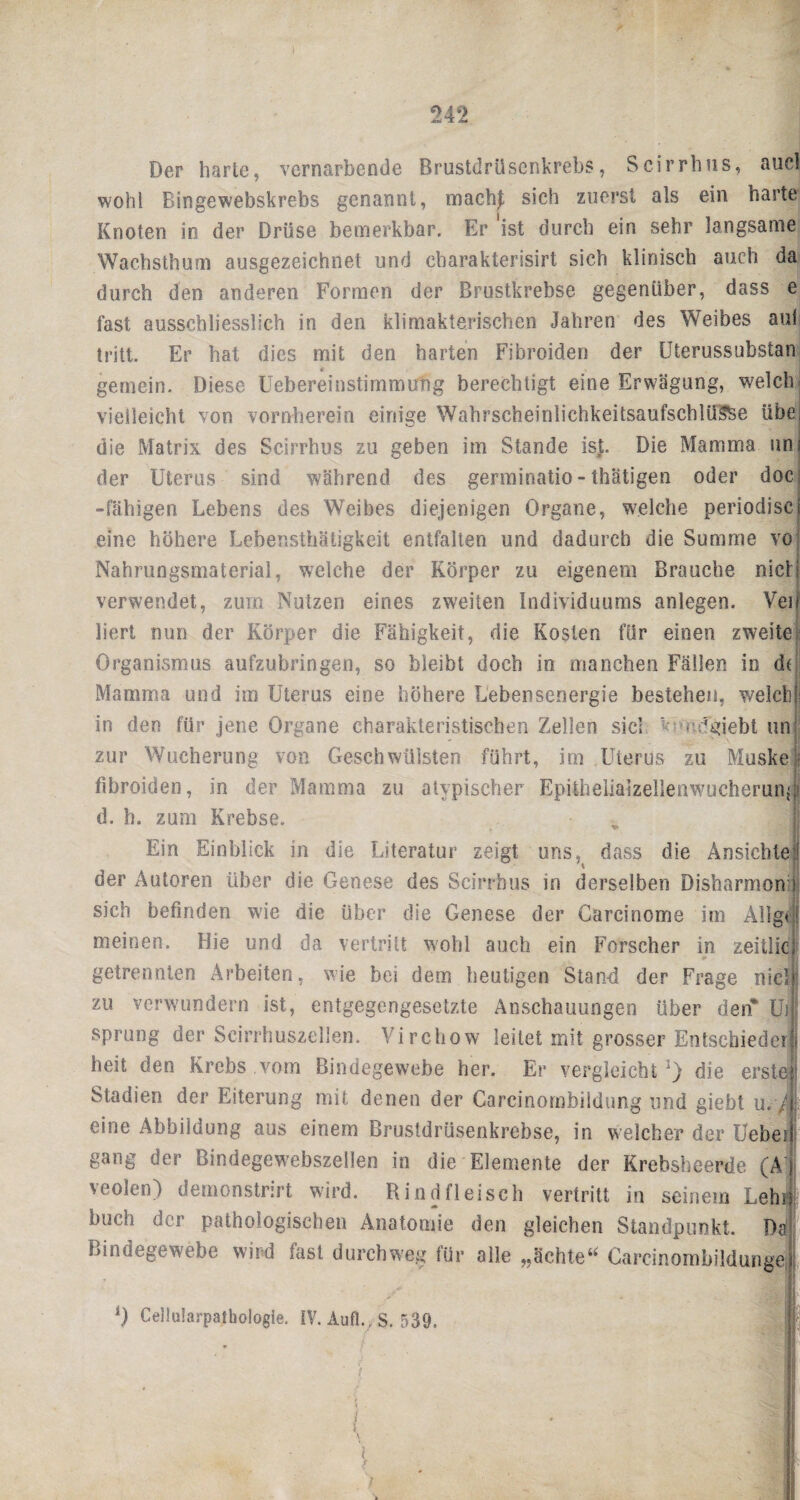 Der harte, vernarbende Brustdrüsenkrebs, Scirrhus, aucl wohl Bingewebskrebs genannt, macht sich zuerst als ein harte Knoten in der Drüse bemerkbar. Er ist durch ein sehr langsame Wachsthum ausgezeichnet und cbarakterisirt sich klinisch auch da durch den anderen Formen der Brustkrebse gegenüber, dass e fast ausschliesslich in den klimakterischen Jahren des Weibes aui tritt. Er hat dies mit den harten Fibroiden der Uterussubstan gemein. Diese Uebereinstimmung berechtigt eine Erwägung, welch vielleicht von vornherein einige WahrscheinlichkeitsaufschlüS^e übe die Matrix des Scirrhus zu geben im Stande ist. Die Mamma un der Uterus sind während des germinatio - thätigen oder doc -fähigen Lebens des Weibes diejenigen Organe, welche periodisc eine höhere Lebensthätigkeit entfalten und dadurch die Summe vo Nahrungsmaterial, welche der Körper zu eigenem Brauche nick verwendet, zum Nutzen eines zweiten Individuums anlegen. Vei liert nun der Körper die Fähigkeit, die Kosten für einen zweite I Organismus aufzubringen, so bleibt doch in manchen Fällen in d( Mamma und im Uterus eine höhere Lebensenergie bestehen, welch in den für jene Organe charakteristischen Zellen sic! - dgiebt un zur Wucherung von Geschwülsten führt, im Uterus zu Muske •: fibroiden, in der Mamma zu atypischer Epitlielialzelleawucherun^; d. h. zum Krebse. Ein Einblick in die Literatur zeigt uns, dass die Ansichtej der Autoren über die Genese des Scirrhus in derselben Disbarmon s sich befinden wie die über die Genese der Carcinome im Allgtl meinen. Hie und da vertritt wohl auch ein Forscher in zeitlic; getrennten Arbeiten, wie bei dem heutigen Stand der Frage nie!' zu verwundern ist, entgegengesetzte Anschauungen über deif Ui; Sprung der Scirrhuszellen. Virchow leitet mit grosser Entschieden heit den Krebs vom Bindegewebe her. Er vergleicht1) die erste Stadien der Eiterung mit denen der Carcinornbildung und giebt u. eine Abbildung aus einem Brusldrüsenkrebse, in welcher der Lebe gang der Bindegewebszellen in die Elemente der Krebsheerde (A veolen) demonstrirt wird. Rindfleisch vertritt in seinem Lehi buch der pathologischen Anatomie den gleichen Standpunkt. Da Bindegewebe wird fast durchweg für alle „ächte“ Carcinombildunge 0 Cellularpathologie. IV. Auf!.. S. 539.