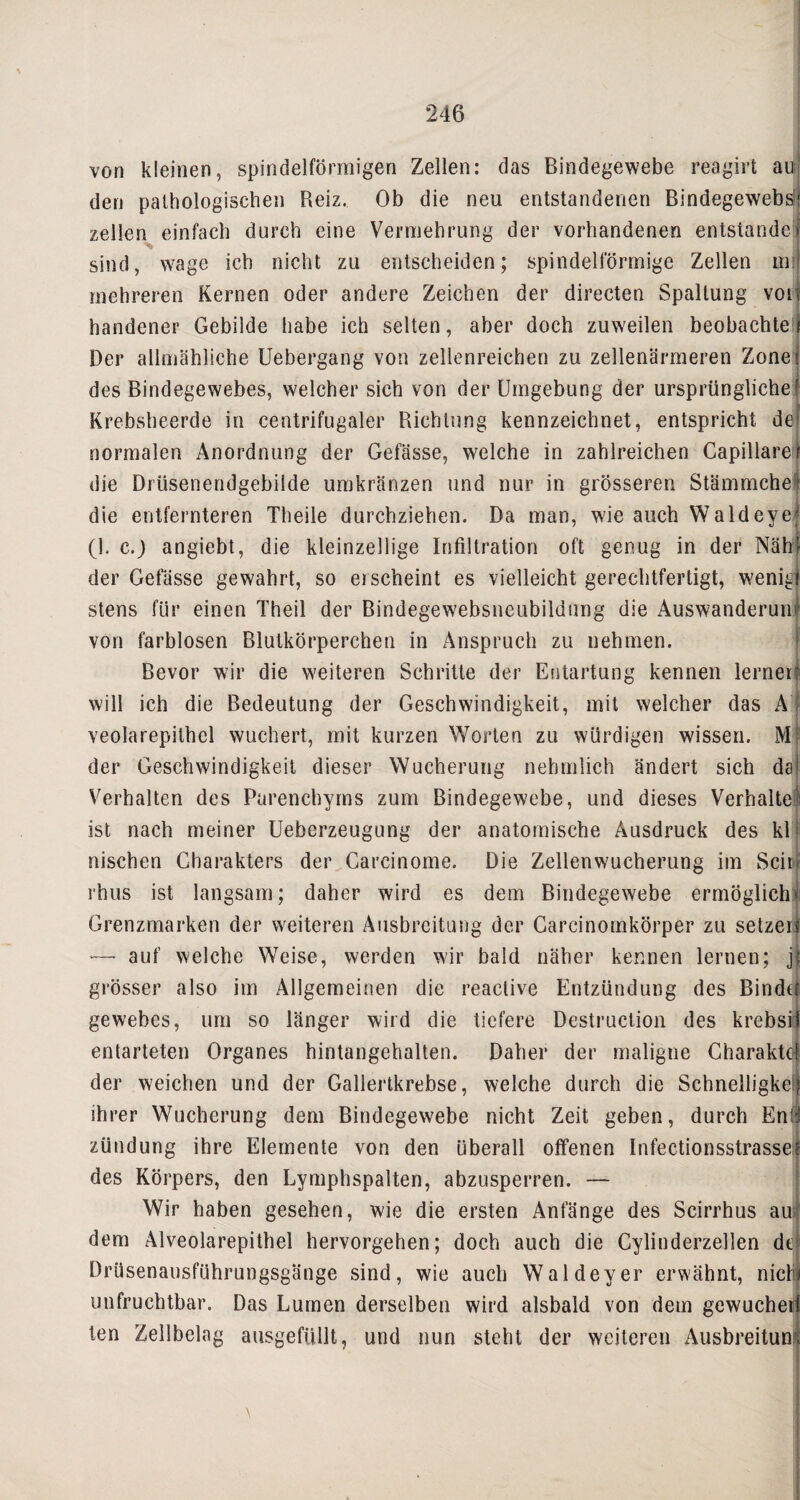 von kleinen, spindelförmigen Zellen: das Bindegewebe reagirt au den pathologischen Beiz. Ob die neu entstandenen Bindegewebs? zellen einfach durch eine Vermehrung der vorhandenen entstände! sind, wage ich nicht zu entscheiden; spindelförmige Zellen mij mehreren Kernen oder andere Zeichen der directen Spaltung von handener Gebilde habe ich selten, aber doch zuweilen beobachte \ Der allmähliche Uebergang von zellenreichen zu zellenärmeren Zone! des Bindegewebes, welcher sich von der Umgebung der ursprüngliche ' Krebsheerde in centrifugaler Richtung kennzeichnet, entspricht, de1 normalen Anordnung der Gefässe, welche in zahlreichen Capillare / die Drüsenendgebilde umkränzen und nur in grösseren Stämmchef die entfernteren Theile durchziehen. Da man, wie auch Waldeye; (1. c.J angiebt, die kleinzellige Infiltration oft genug in der Nähr der Gefässe gewahrt, so erscheint es vielleicht gerechtfertigt, wenig) stens für einen Theil der Bindegewebsneubildung die Auswanderung von farblosen Blutkörperchen in Anspruch zu nehmen. Bevor wir die weiteren Schritte der Entartung kennen ierner *m' will ich die Bedeutung der Geschwindigkeit, mit welcher das A veolarepithcl wuchert, mit kurzen Worten zu würdigen wissen. M der Geschwindigkeit dieser Wucherung nehmlich ändert sich da Verhalten des Parenchyms zum Bindegewebe, und dieses Verhaltei ist nach meiner Ueberzeugung der anatomische Ausdruck des kl nischen Charakters der Carcinome. Die Zellen Wucherung im Seit rhus ist langsam; daher wird es dem Bindegewebe ermöglich*! Grenzmarken der weiteren Ausbreitung der Carcinomkörper zu setzen — auf welche Weise, werden wir bald näher kennen lernen; j| grösser also im Allgemeinen die reactive Entzündung des Binder gewebes, um so länger wird die tiefere Destruction des krebsil entarteten Organes hintangehalten. Daher der maligne Charaktd der weichen und der Gallertkrebse, welche durch die Schnelligkeff ihrer Wucherung dem Bindegewebe nicht Zeit geben, durch Enl'J zündung ihre Elemente von den überall offenen Infectionsstrassel des Körpers, den Lymphspalten, abzusperren. — Wir haben gesehen, wie die ersten Anfänge des Scirrhus au! dem Alveolarepithel hervorgehen; doch auch die Cylinderzellen dt Drüsenausführungsgänge sind, wie auch Waldeyer erwähnt, nictii unfruchtbar. Das Lumen derselben wird alsbald von dem gewucheil len Zellbelag ausgefüllt, und nun steht der weiteren Ausbreitung \