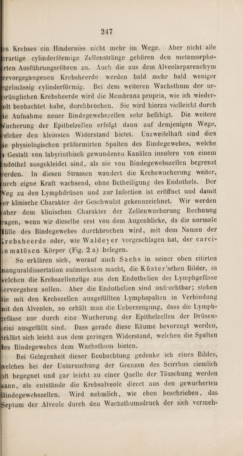 es Krebses ein Hinderniss nicht mehr im Wege. Aber nicht alle erartige cylindei förmige Zellenstränge gehören den metamorpho- rten Ausführungsröhren zu. Auch die aus dem Alveolarparenchym ervorgegangenen Krebsheerde werden bald mehr bald weniger Bgelmassig cylinderförmig. Bei dem weiteren Wachsthum der ur- prünglichen Krebsheerde wird die Membrana propria, wie ich wieder- olt beobachtet habe, durchbrochen. Sie wird hierzu vielleicht durch ie Aufnahme neuer Bindegewebszellen sehr befähigt. Die weitere Wucherung der Epithelzellen erfolgt dann auf demjenigen Wege, reicher den kleinsten Widerstand bietet. Unzweifelhaft sind dies ie physiologischen präformirten Spalten des Bindegewebes, welche 1 Gestalt von labyrinthisch gewundenen Kanälen insofern von einem ndothel ausgekleidet sind, als sie von Bindegewebszellen begrenzt rerden. In diesen Strassen wandert die Krebswucherung weiter, urch eigne Kraft wachsend, ohne Betheiligung des Endothels. Der j^eg zu den Lymphdrüsen und zur Infection ist eröffnet uud damit er klinische Charakter der Geschwulst gekennzeichnet. Wir werden aber dem klinischen Charakter der Zellenwucherung Rechnung ragen, wenn wir dieselbe erst von dem Augenblicke, da die normale fülle des Bindegewebes durchbrochen wird, mit dem Namen der [rebsheerde oder, wie Waldeyer vorgeschlagen hat, der card¬ io matösen Körper (Fig. 2 a) belegen. So erklären sich, worauf auch Sachs in seiner oben cilirten nauguraldissertation aufmerksam macht, die Köster’schen Bilder, in velchen die Krebszellenzüge aus den Endothelien der Lymphgefässe kervorgehen sollen. Aber die Endothelien sind unfruchtbar; stehen tie mit den Krebszellen ausgefüllten Lymphspallen in Verbindung njt den Alveolen, so erhält man die Ueberzeugung, dass die Lymph¬ gefässe nur durch eine Wucherung der Epithelzellen der Drüsen¬ tein i ausgefüllt sind. Dass gerade diese Räume bevorzugt werden, Erklärt sich leicht aus dem geringen Widerstand, welchen die Spalten les Bindegewebes dem Wacbsthum bieten. Bei Gelegenheit dieser Beobachtung gedenke ich eines Bildes, welches bei der Untersuchung der Grenzen des Scirrhus ziemlich jjft begegnet und gar leicht zu einer Quelle der Täuschung werden »rann, als entstände die Krebsalveole direct aus den gewucherten Bindegewebszellen. Wird nehmlich, wie eben beschrieben, das Lptum der Alveole durch den Wachsthumsdruck der sich verrneh-