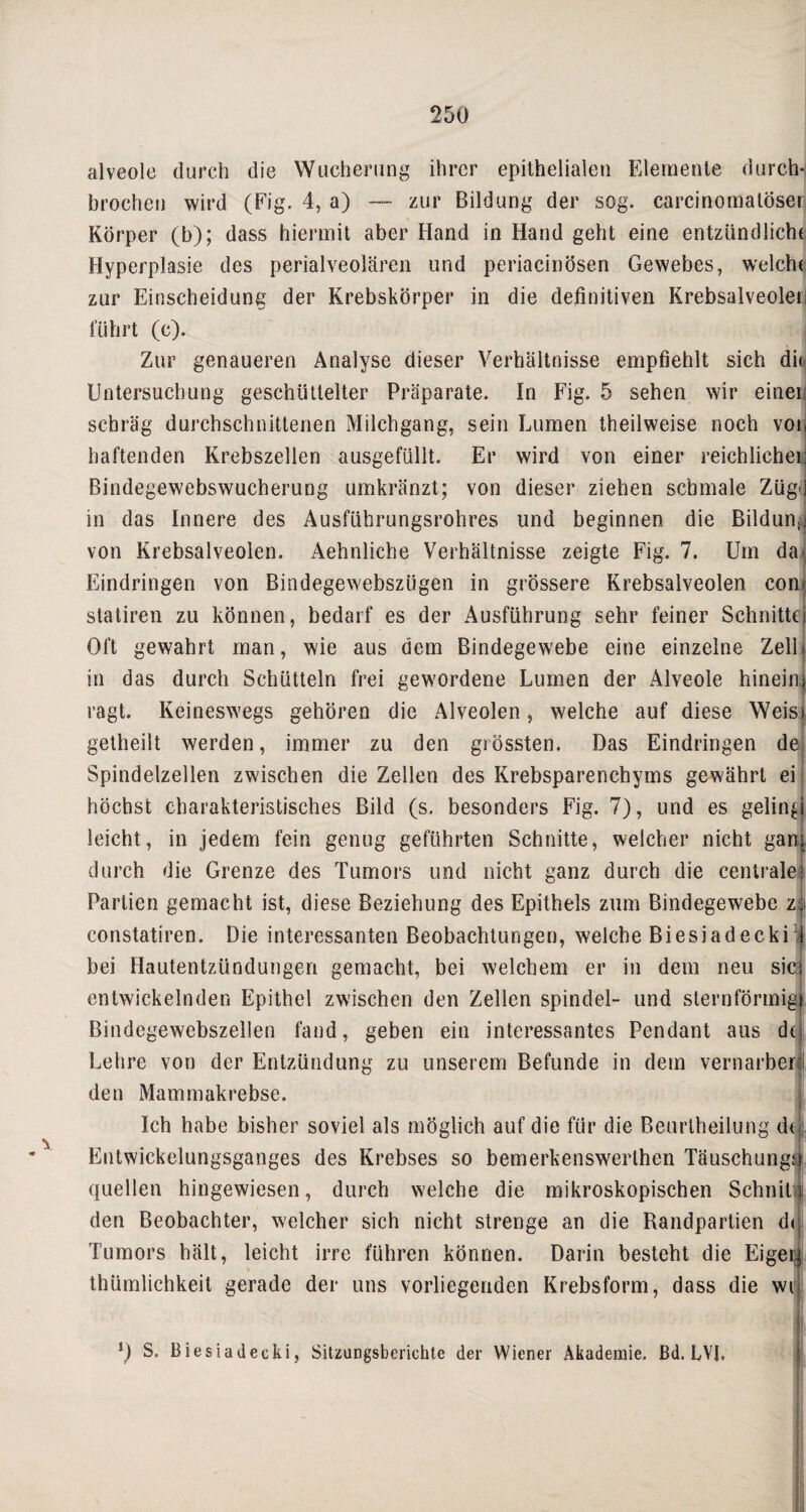 alveole durch die Wucherung ihrer epithelialen Elemente durch¬ brochen wird (Fig. 4, a) -- zur Bildung der sog. carcinoma loser, Körper (b); dass hiermit aber Hand in Hand geht eine entzündlicht Hyperplasie des perialveolären und periacinösen Gewebes, weicht zur Einscheidung der Krebskörper in die definitiven Krebsalveoleri führt (c). Zur genaueren Analyse dieser Verhältnisse empfiehlt sich di< Untersuchung geschüttelter Präparate. In Fig. 5 sehen wir einer schräg durchschnittenen Milchgang, sein Lumen theilweise noch vor haftenden Krebszellen ausgefüllt. Er wird von einer reichlicher Bindegewebswucherung umkränzt; von dieser ziehen schmale Zügtj in das Innere des Ausführungsrohres und beginnen die Bildung von Krebsalveolen. Aehnliehe Verhältnisse zeigte Fig. 7. Um da Eindringen von Bindegewebszügen in grössere Krebsalveolen com statiren zu können, bedarf es der Ausführung sehr feiner Schnittei Oft gewahrt man, wie aus dem Bindegewebe eine einzelne Zellt in das durch Schütteln frei gewordene Lumen der Alveole hineinj ragt. Keineswegs gehören die Alveolen, welche auf diese Weist getheilt werden, immer zu den grössten. Das Eindringen de Spindelzellen zwischen die Zellen des Krebsparenchyms gewährt ei höchst charakteristisches Bild (s. besonders Fig. 7), und es geling leicht, in jedem fein genug geführten Schnitte, welcher nicht gam durch die Grenze des Tumors und nicht ganz durch die centrale; Partien gemacht ist, diese Beziehung des Epithels zum Bindegewebe n constatiren. Die interessanten Beobachtungen, welche Biesiadeckri bei Hautentzündungen gemacht, bei welchem er in dem neu sic entwickelnden Epithel zwischen den Zellen spindel- und sternförmig Bindegewebszellen fand, geben ein interessantes Pendant aus d( Lehre von der Entzündung zu unserem Befunde in dem vernarben den Mammakrebse. Ich habe bisher soviel als möglich auf die für die Beurlheilung dt| Entwickelungsganges des Krebses so bemerkenswerthen Täuschung!®, quellen hingewiesen, durch welche die mikroskopischen SchniLf den Beobachter, welcher sich nicht strenge an die Randpartien d< Tumors hält, leicht irre führen können. Darin besteht die Eigeij thümlichkeit gerade der uns vorliegenden Krebsform, dass die wti D S. Biesiadecki, Sitzungsberichte der Wiener Akademie. Bd. LVJ. j