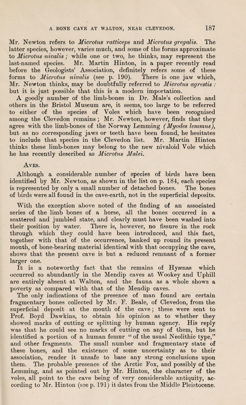 Mr. Newton refers to Microtus ratticeps and Microtus gregalis. The latter species, however, varies much, and some of the forms approximate to Microtus nivalis ; while one or two, he thinks, may represent the last-named species. Mr. Martin Hinton, in a paper recently read before the Geologists’ Association, definitely refers some of these forms to Microtus nivalis (see p. 190). There is one jaw which, Mr. Newton thinks, may be doubtfully referred to Microtus agrestis : but it is just possible that this is a modem importation. A goodly number of the limb-bones in Dr. Male’s collection and others in the Bristol Muséum are, it seems, too large to be referred to either of the species of Voles which hâve been recognised among the Clevedon remains ; Mr. Newton, however, finds that they agréé with the limb-bones of the Norway Lemming (Myodes lemmus), but as no corresponding jaws or teeth hâve been found, he hésitâtes to include that species in the Clevedon list. Mr. Martin Hinton thinks these limb-bones may belong to the new nivaloid Vole which he has recently described as Microtus Malei. Aves. Although a considérable number of species of birds hâve been identitied by Mr. Newton, as shown in the list on p. 184, each species is represented by only a small number of detached bones. The bones of birds were ail found in the cave-earth, not in the superficial deposits. With the exception above noted of the finding of an associated sériés of the limb bones of a horse, ail the bones occurred in a scattered and jumbled State, and clearly must hâve been washed into their position by water. There is, however, no fissure in the rock through which they could hâve been introduced, and this fact, together with that of the occurrence, banked up round its présent mouth, of bone-bearing material identical with that occupying the cave, shows that the présent cave is but a reduced remnant of a former larger one. It is a noteworthy fact that the remains of Hyænas which occurred so abundantly in the Mendip caves at Wookey and Uphill are entirely absent at Walton, and the fauna as a whole shows a poverty as compared with that of the Mendip caves. The only indications of the presence of man found are certain fragmentary bones collected by Mr. F. Beale, of Clevedon, from the superficial deposit at the mouth of the cave ; these were sent to Prof. Boyd Dawkins, to obtain his opinion as to whether they showed marks of cutting or splitting by human agency. His reply was that he could see no marks of cutting on any of them, but he identified a portion of a human fémur “ of the usual Neolithic type,5’ and other fragments. The small number and fragmentary state of these bones, and the existence of some uncertainty as to their association, render it unsafe to base any strong conclusions upon them. The probable presence of the Arctic Fox, and possibly of the Lemming, and as pointed out by Mr. Hinton, the character of the voles, ail point to the cave being of very considérable antiquity, ac- cording to Mr. Hinton (see p. 191) it dates from the Middle Pleistocene.
