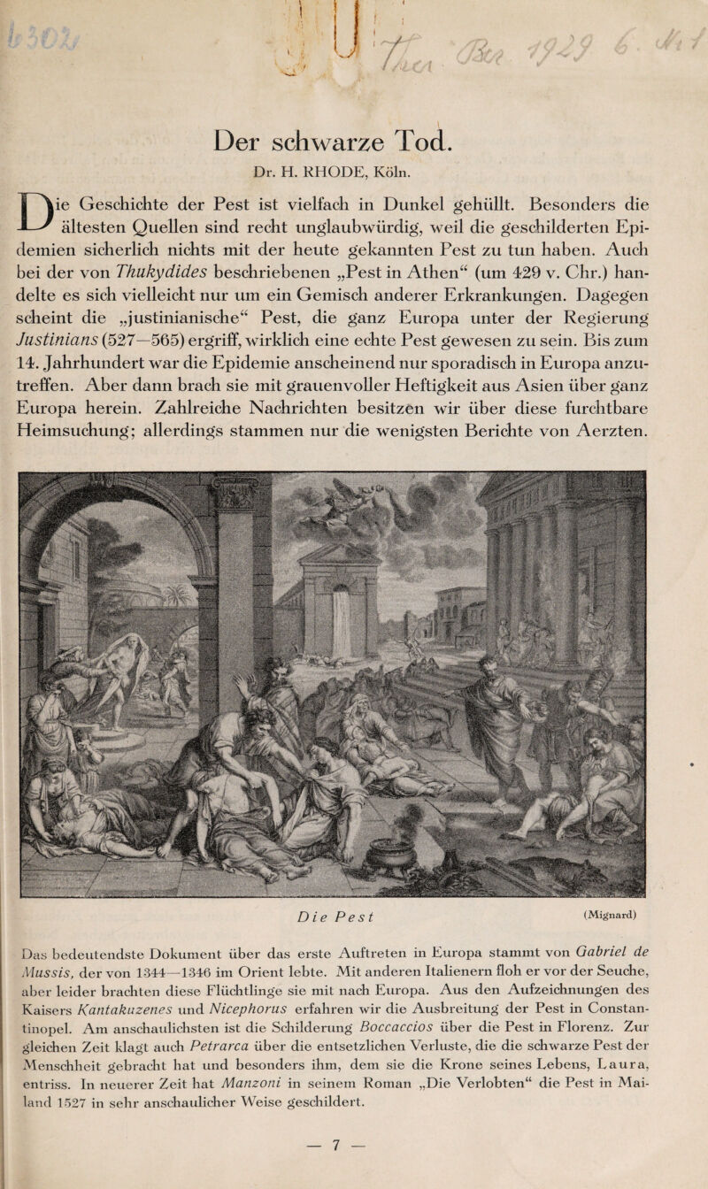 ! v ’ ' *' ■ 1 Der schwarze Tod. Dr. H. RHODE, Kôln. Die Geschichte der Pest ist vielfach in Dunkel gehi’illt. Besonders die âltesten Quellen sind recht unglaubwürdig, weil die geschilderten Epi- demien sicherlich niclits mit der heute gekannten Pest zu tun haben. Auch bei der von Thlikydides beschriebenen „Pest in Athen“ (um 429 v. Chr.) han- delte es sicb vielleicbt nur um ein Gemisch anderer Erkrankungen. Dagegen scheint die „justinianische“ Pest, die ganz Europa unter der Regierung Justinians (527—565) ergriff, wirklich eine echte Pest gewesen zu sein. Bis zum 14. Jahrhundert war die Epidémie anscheinend nur sporadisch in Europa anzu- treffen. Aber dann brach sie mit grauenvoller Heftigkeit aus Asien über ganz Europa herein. Zahlreiche Nachricbten besitzen wir über diese furclitbare Heimsuchung; allerdings stammen nur die wenigsten Berichte von Aerzten. Die Pest (Mignard) Das bedeutendste Dokument über das erste Auftreten in Europa stammt von Gabriel de Mussis, der von 1344—1346 im Orient lebte. Mit anderen Italienern floh er vor der Seuclie, aber leider brachten diese Flüchtlinge sie mit nach Europa. Aus den Aufzeichnungen des Kaisers Kantakuzenes und Nicephorus erfahren wir die Ausbreitung der Pest in Constan- tinopel. Am anscbaulichsten ist die Schilderung Boccaccios über die Pest in Florenz. Zur gleichen Zeit klagt auch Petrarca über die entsetzlichen Verluste, die die schwarze Pest der Menschheit gebracht hat und besonders ihm, dem sie die Krone seines Lebens, Laura, entriss. In neuerer Zeit hat Manzoni in seinem Roman „Die Verlobten“ die Pest in Mai- land 1527 in sehr anschaulicher Weise geschildert.