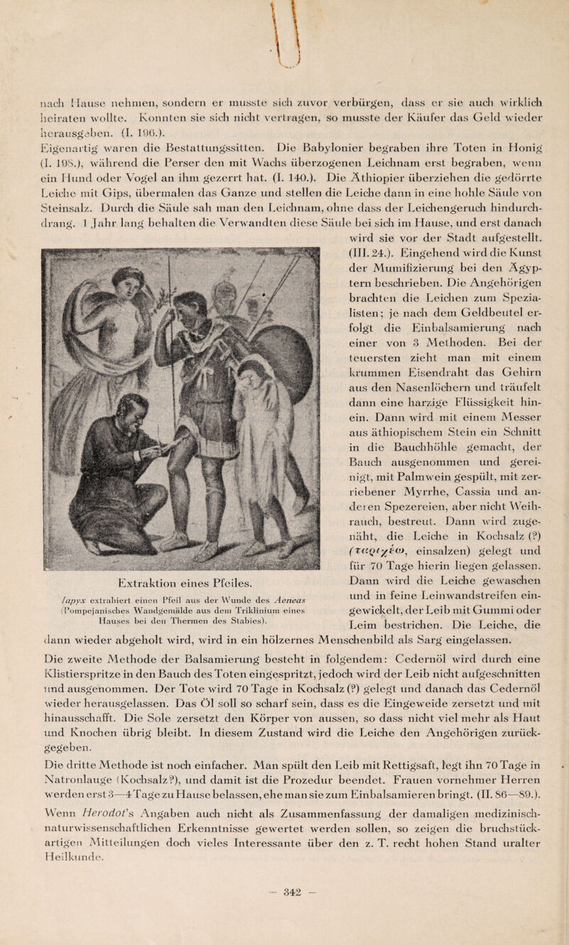 J nach Hause nehmen, sondern er musste sich znvor verbürgen, dass er sie auch wirklich heiraten wollte. Konnten sie sicli niclit vertragen, so musste der Kaufer das Geld wieder herausgeben. (I. 196.). Eigenartig waren die Bestattungssitten. Die Babylonier begraben ihre Toten in Honig (I. 19S.), wahrend die Perser den mit Wachs überzogenen Leicbnam erst begraben, wenn ein Hund oder Vogel an ihm gezerrt bat. (I. 140.). Die Athiopier überziehen die gedorrte Leiche mit Gips, übermalen das Ganze und stellen die Leiche dann in eine hohle Saule von Steinsalz. Durcli die Saule sali man den Leicbnam, obne dass der Leicbengerucb hindurcb- drang. 1 Jabr lang behalten die Verwandten diese Saule bei sich im Hause, und erst clanach wird sie vor der Stadt aufgestellt. (III. 24.). Eingehend wird die Kunst der Mumifizierung bei den Agyp- tern bescbrieben. Die Angehorigen bracbten die Leichen zum Spezia- listen; je nacb dem Geldbeutel er- folgt die Einbalsamierung nacb einer von 3 Methoden. Bei der teuersten ziebt man mit einem krummen Eisendraht das Gehirn aus den Nasenlocliern und traufelt dann eine barzige Flüssigkeit hin- ein. Dann wird mit einem Messer aus âthiopischem Stein ein Scbnitt in die Bauchhohle gemaclit, der Baucb ausgenommen und gerei- nigt, mit Palmwein gespült, mit zer- riebener Myrrhe, Cassia und an- dei en Spezereien, aber niclit Weih- raucb, bestreut. Dann wird zuge- naht, die Leiche in Kochsalz (?) (T(CQ(yréa>, einsalzen) gelegt und für 70 Tage bierin liegen gelassen. Dann wird die Leiche gewaschen und in feine Leinwandstreifen ein- gewickelt, der Leib mit Gummi oder Leim bestrichen. Die Leiche, die dann wieder abgeholt wird, wird in ein holzernes Menscbenbild als Sarg eingelassen. Extraktion eines Pfeiles. Icipyx cxtraliiert einen Pfeil aus der Wunde des Aeneas (Pompejauisches Wandgemalde aus dem Triklinium eines Hauses bei den Thermen des Stabies). Die zweite Aletbode der Balsamierung bestebt in folgendem: Cedernôl wird durcb eine Klistierspritze in den Bauch des Toten eingespritzt, jedoch wird der Leib niclit aufgeschnitten und ausgenommen. Der Tote wird 70 Tage in Kochsalz (?) gelegt und danach das Cedernôl wieder herausgelassen. Das Ô1 soll so scharf sein, dass es die Eingeweide zersetzt und mit hinausschafft. Die Sole zersetzt den Kôrper von aussen, so dass nicht viel mehr als Haut und Knochen übrig bleibt. In diesem Zustand wird die Leiche den Angehorigen zurück- gegeben. Die dritte Méthode ist noch einfacher. Man spiilt den Leib mit Rettigsaft, l'egt ihn 70 Tage in Natronlauge (Kochsalz?), und damit ist die Prozedur beendet. Frauen vornehmer Herren werden erst 3—4 Tage zu Hause belassen, ehe man sie zum Einbalsamieren bringt. (II. 86—89.). Wenn Herodot’s Angaben auch nicht als Zusammenfassung der damalig'en medizinisch- naturwissenschaftlichen Erkenntnisse gewertet werden sollen, so zeigen die bruchstück- artigen Alitteilungen doch vieles Intéressante über den z. T. recht hohen Stand uralter Heilkunde.
