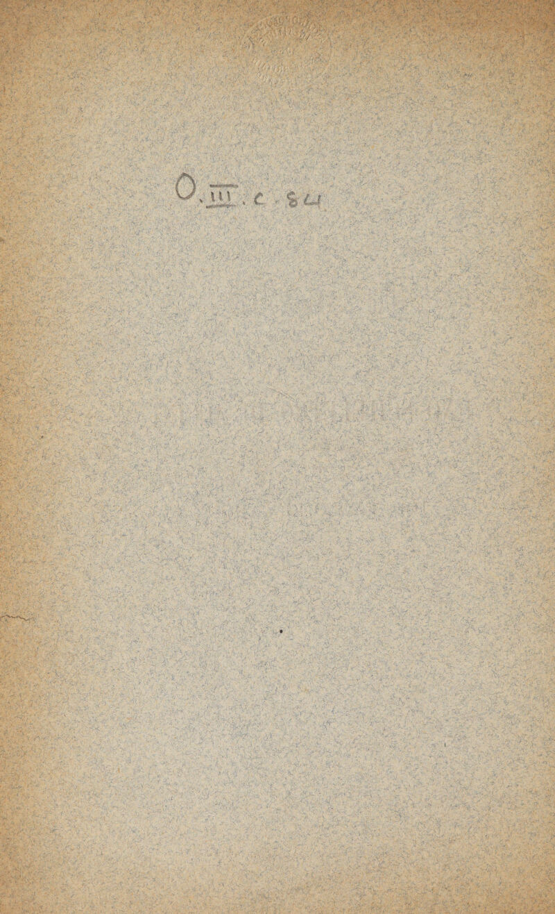 8$ & <-t ■ % • rÿ .;;>_Vr : V -A’ .vk > • . , - •/ 'K:--'- > *à v ., . ■ ;• «V > »:. ;• > v. V ,V Y:? . - /•• > - -. u. 5- - £.,* -, < ;-\ •- ■ . .; ?:t> -J*).;- m