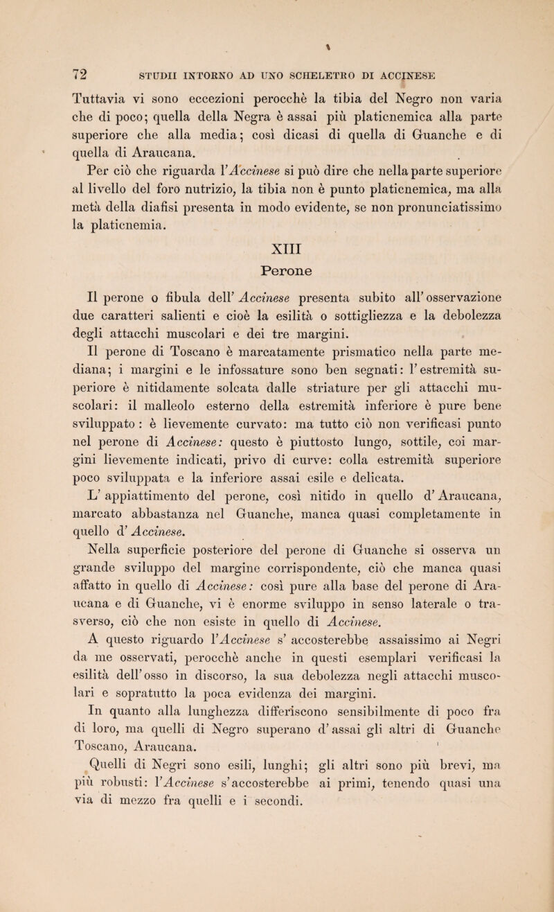 Tuttavia vi sono eccezioni perocchè la tibia del Negro non varia che di poco; quella délia Negra è assai più platicnemica alla parte superiore che alla media; cosi dicasi di quella di Guanche e di quella di Araucana. Per cio che riguarda YAccinese si puo dire che nella parte superiore al livello del foro nutrizio7 la tibia non è punto platicnemica, ma alla metà délia diafisi présenta in modo évidente, se non pronunciatissimo la platicnemia. XIII Péroné Il péroné o fibula delh Accinese présenta subito alh osservazione due caratteri salienti e cioè la esilità o sottigliezza e la debolezza degli attacchi muscolari e dei tre margini. Il péroné di Toscano è marcatamente prismatico nella parte me- diana; i margini e le infossature sono ben segnati: F estremità su¬ periore è nitidamente solcata dalle striature per gli attacchi mu¬ scolari: il malleolo esterno délia estremità inferiore è pure bene sviluppato : è lievemente curvato: ma tutto cio non verifîcasi punto nel péroné di Accinese: questo è piuttosto lungo, sottile, coi mar¬ gini lievemente indicati, privo di curve: colla estremità superiore poco sviluppata e la inferiore assai esile e delicata. L’appiattimento del péroné, cosi nitido in quello d’Araucana, marcato abbastanza nel Guanche, manca quasi completamente in quello d’Accinese. Nella superficie posteriore del péroné di Guanche si osserva un grande sviluppo del margine corrispondente, cio che manca quasi affatto in quello di Accinese: cosi pure alla base del péroné di Ara¬ ucana e di Guanche, vi è enorme sviluppo in senso latérale o tra- sverso, cio che non esiste in quello di Accinese. A questo riguardo Y Accinese s7 accosterebbe assaissimo ai Negri da me osservati, perocchè anche in questi esemplari verifîcasi la esilità dell’osso in discorso, la sua debolezza negli attacchi musco- lari e sopratutto la poca evidenza dei margini. In quanto alla lunghezza differ'iscono sensibilmente di poco fra di loro, ma quelli di Negro superano d’assai gli altri di Guanche Toscano, Araucana. Quelli di Negri sono esili, lunghi; gli altri sono più brevi, ma più robusti: Y Accinese s’accosterebbe ai primi, tenendo quasi una via di mezzo fra quelli e i secondi.