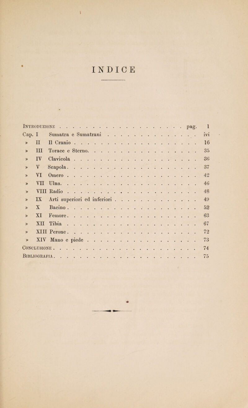 INDICE ÏNTRODUZKXNE.pag. 1 Cap. I Sumatra e Sumatrani.ivl » II II Cranio. 16 » III Torace e Sterno.35 » IV Clavicola.36 » V Scapola. 37 » VI Omero. 42 » VII Ulna.46 » VIII Radio.48 » IX Arti superiori ed inferiori.49 » X Bacino.52 » XI Femore.63 » XII Tibia.67 » XIII Péroné.72 » XIV Mano e piede.73 CONCLUSIONE.74 Bibliografia.75 4)