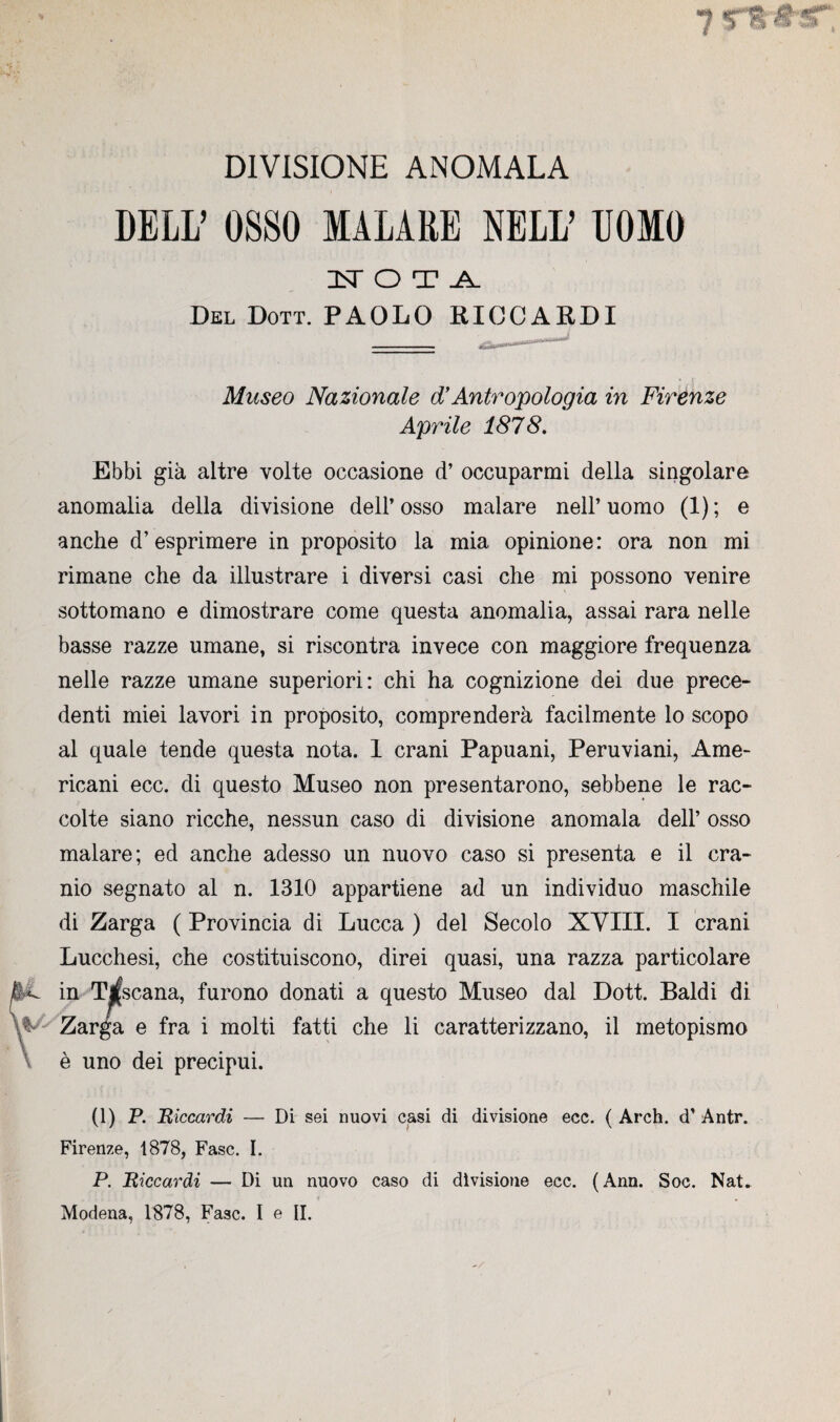 D1VISIONE ANOMALA DELL’ OSSO MALÀRE NELL’ UOMO NOTA Del Dott. PAOLO RICCARDI I.. P(H Museo Nazionale d’Antropologia in Firenze Aprile 1878. Ebbi gia altre volte occasione d’occuparmi délia singolare anomalia délia divisione dell’ osso malare nell’ uomo (1) ; e anche d’esprimere in proposito la mia opinione: ora non mi rimane che da illustrare i diversi casi che mi possono venire sottomano e dimostrare corne questa anomalia, assai rara nelle basse razze umane, si riscontra invece con maggiore frequenza nelle razze umane superiori: chi ha cognizione dei due prece- denti miei lavori in proposito, comprenderk facilmente lo scopo al quale tende questa nota. 1 crani Papuani, Peruviani, Ame- ricani ecc. di questo Museo non presentarono, sebbene le rac- colte siano ricche, nessun caso di divisione anomala dell’ osso malare; ed anche adesso un nuovo caso si présenta e il cra- nio segnato al n. 1310 appartiene ad un individuo maschile di Zarga ( Provincia di Lucca ) del Secolo XVIII. I crani Lucchesi, che costituiscono, direi quasi, una razza particolare ^ in T^scana, furono donati a questo Museo dal Dott. Baldi di Zarga e fra i molti fatti che li caratterizzano, il metopismo è uno dei precipui. (1) P. Riccardi — Di sei nuovi casi di divisione ecc. ( Arch. d’Antr. Firenze, 1878, Fasc. I. P. Riccardi — Di un nuovo caso di divisione ecc. (Ann. Soc. Nat.