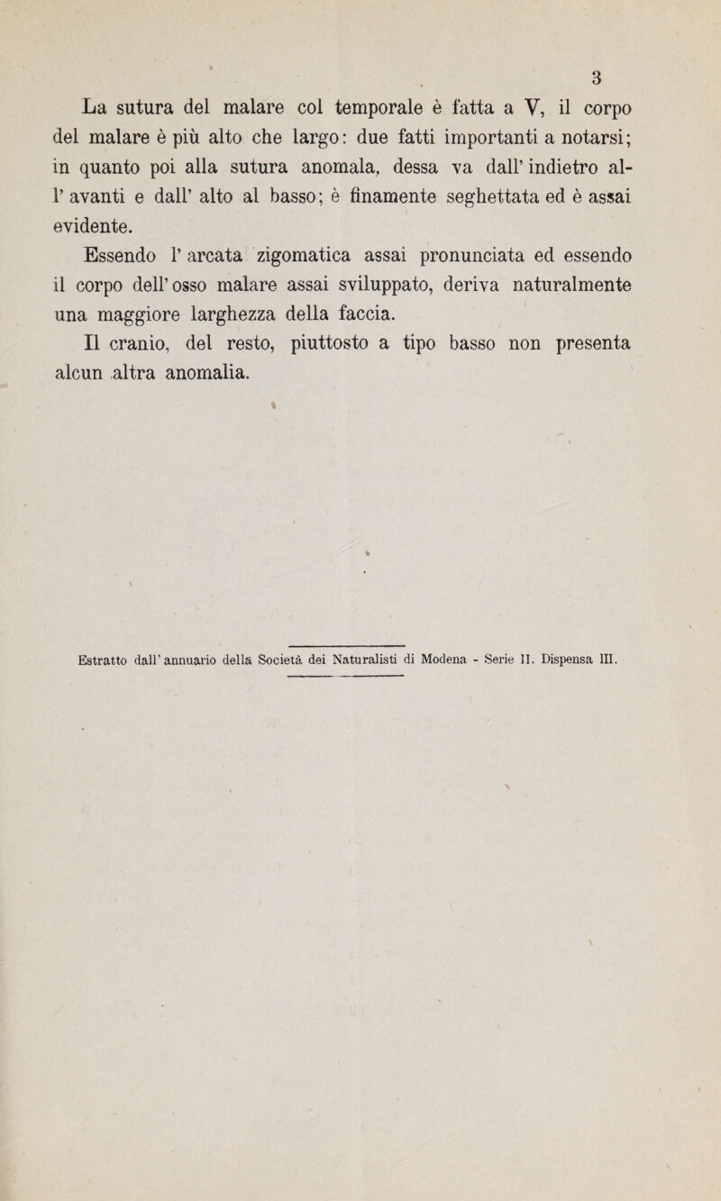 La sutura del malare col temporale è fatta a V, il corpo del malare è più alto che largo: due fatti importanti a notarsi; in quanto poi alla sutura anomala, dessa va dall’ indietro al- 1’ avanti e dall’ alto al basso ; è finamente seghettata ed è assai évidente. Essendo 1’ arcata zigomatica assai pronunciata ed essendo il corpo dell’osso malare assai sviluppato, dériva naturalmente una maggiore larghezza délia faccia. Il cranio, del resto, piuttosto a tipo basso non présenta alcun altra anomalia. \ Estratto daU’annuario délia Società dei Naturalisti di Modena - Sérié II. Dispensa III.