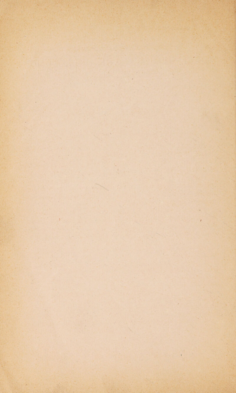 1 ■ . i ■ , ■ . , * : ■ ■ - ■ ■ ■ 1 1 - ... ■ ■ -• a* / ■i' \ v . •>: t. A ' •r