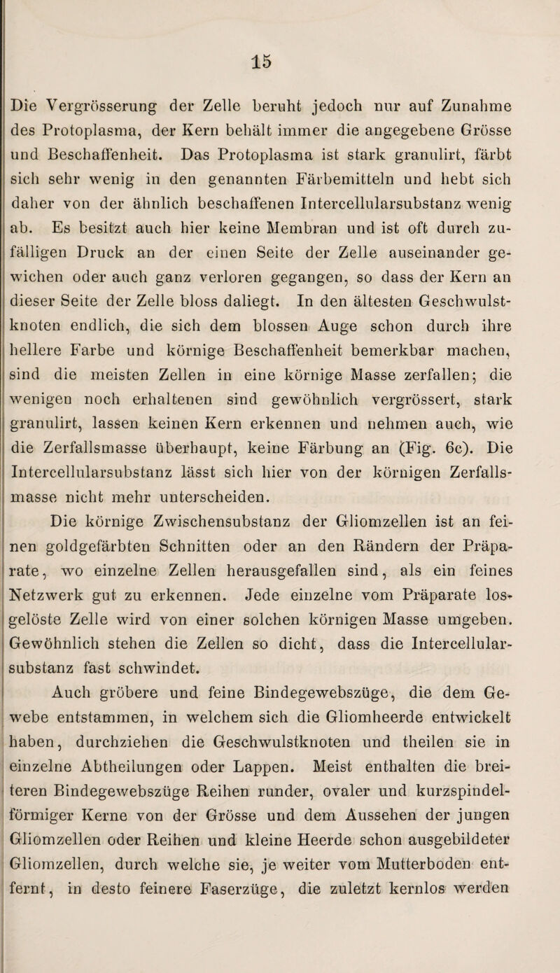 Die Vergrösserung der Zelle beruht jedoch nur auf Zunahme des Protoplasma, der Kern behält immer die angegebene Grösse und Beschaffenheit. Das Protoplasma ist stark granulirt, färbt sich sehr wenig in den genannten Färbemitteln und hebt sich daher von der ähnlich beschaffenen Intercellularsubstanz wenig ab. Es besitzt auch hier keine Membran und ist oft durch zu¬ fälligen Druck an der einen Seite der Zelle auseinander ge- wichen oder auch ganz verloren gegangen, so dass der Kern an dieser Seite der Zelle bloss daliegt. In den ältesten Geschwulst¬ knoten endlich, die sich dem blossen Auge schon durch ihre hellere Farbe und körnige Beschaffenheit bemerkbar machen, sind die meisten Zellen in eine körnige Masse zerfallen; die wenigen noch erhaltenen sind gewöhnlich vergrössert, stark granulirt, lassen keinen Kern erkennen und nehmen auch, wie die Zerfallsmasse überhaupt, keine Färbung an (Fig. 6c). Die Intercellularsubstanz lässt sich hier von der körnigen Zerfalls¬ masse nicht mehr unterscheiden. Die körnige Zwischensubstanz der Gliomzellen ist an fei¬ nen goldgefärbten Schnitten oder an den Rändern der Präpa¬ rate, wo einzelne Zellen herausgefallen sind, als ein feines Netzwerk gut zu erkennen. Jede einzelne vom Präparate los* gelöste Zelle wird von einer solchen körnigen Masse umgeben. Gewöhnlich stehen die Zellen so dicht, dass die Intercellular¬ substanz fast schwindet. Auch gröbere und feine Bindegewebszüge, die dem Ge¬ webe entstammen, in welchem sich die Gliomheerde entwickelt haben, durchziehen die Geschwulstknoten und theilen sie in einzelne Abtheilungen oder Lappen. Meist enthalten die brei¬ teren Bindegewebszüge Reihen runder, ovaler und kurzspindel¬ förmiger Kerne von der Grösse und dem Aussehen der jungen Gliomzellen oder Reihen und kleine Heerde schon ausgebildeter Gliomzellen, durch welche sie, je weiter vom Mutterboden ent¬ fernt, in desto feinere Faserzüge, die zuletzt kernlos werden