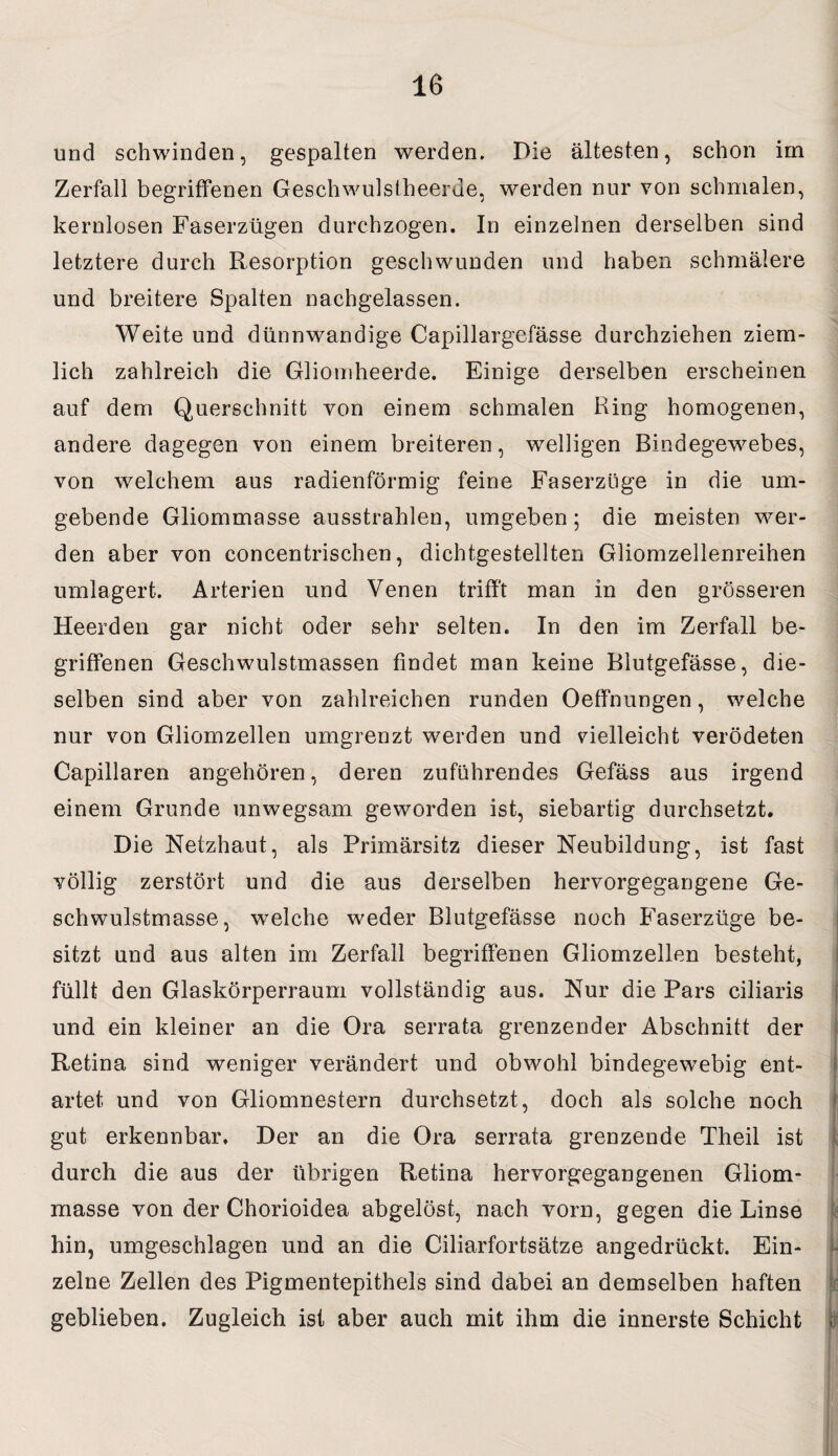 und schwinden, gespalten werden. Die ältesten, schon im Zerfall begriffenen Geschwulstheerde, werden nur von schmalen, kernlosen Faserzügen durchzogen. In einzelnen derselben sind letztere durch Resorption geschwunden und haben schmälere und breitere Spalten nachgelassen. Weite und dünnwandige Capillargefässe durchziehen ziem¬ lich zahlreich die Glioinheerde. Einige derselben erscheinen auf dem Querschnitt von einem schmalen Ring homogenen, andere dagegen von einem breiteren, welligen Bindegewebes, von welchem aus radienförmig feine Faserzüge in die um¬ gebende Gliommasse ausstrahlen, umgeben; die meisten wer¬ den aber von concentrischen, dichtgestellten Gliomzellenreihen umlagert. Arterien und Venen trifft man in den grösseren Heerden gar nicht oder sehr selten. In den im Zerfall be¬ griffenen Geschwulstmassen findet man keine Blutgefässe, die¬ selben sind aber von zahlreichen runden Oeffnungen, welche nur von Gliomzellen umgrenzt werden und vielleicht verödeten Capillaren angehören, deren zuführendes Gefäss aus irgend einem Grunde unwegsam geworden ist, siebartig durchsetzt. Die Netzhaut, als Primärsitz dieser Neubildung, ist fast völlig zerstört und die aus derselben hervorgegangene Ge¬ schwulstmasse, welche weder Blutgefässe noch Faserzüge be¬ sitzt und aus alten im Zerfall begriffenen Gliomzellen besteht, füllt den Glaskörperraum vollständig aus. Nur die Pars ciliaris und ein kleiner an die Ora serrata grenzender Abschnitt der Retina sind weniger verändert und obwohl bindegewebig ent¬ artet und von Gliomnestern durchsetzt, doch als solche noch gut erkennbar. Der an die Ora serrata grenzende Theil ist durch die aus der übrigen Retina hervorgegangenen Gliom¬ masse von der Chorioidea abgelöst, nach vorn, gegen die Linse hin, umgeschlagen und an die Ciliarfortsätze angedrückt. Ein¬ zelne Zellen des Pigmentepithels sind dabei an demselben haften geblieben. Zugleich ist aber auch mit ihm die innerste Schicht