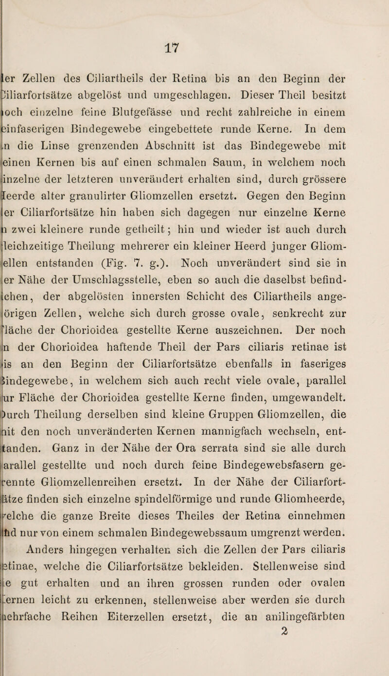 er Zellen des Ciliartheils der Retina bis an den Beginn der liliarfortsätze abgelöst und umgesehlagen. Dieser Theil besitzt ioch einzelne feine Blutgefässe und recht zahlreiche in einem sinfaserigen Bindegewebe eingebettete runde Kerne. In dem ln die Linse grenzenden Abschnitt ist das Bindegewebe mit einen Kernen bis auf einen schmalen Saum, in welchem noch inzelne der letzteren unverändert erhalten sind, durch grössere leerde alter granulirter Gliomzellen ersetzt. Gegen den Beginn er Ciliarfortsätze hin haben sich dagegen nur einzelne Kerne l zwei kleinere runde getheilt; hin und wieder ist auch durch leichzeitige Theilung mehrerer ein kleiner Heerd junger Gliom¬ ellen entstanden (Fig. 7. g.). Noch unverändert sind sie in er Nähe der Umschlagsstelle, eben so auch die daselbst befind- chen, der abgelösten innersten Schicht des Ciliartheils ange- örigen Zellen, welche sich durch grosse ovale, senkrecht zur 'läche der Chorioidea gestellte Kerne auszeichnen. Der noch n der Chorioidea haftende Theil der Pars ciliaris retinae ist lis an den Beginn der Ciliarfortsätze ebenfalls in faseriges Bindegewebe, in welchem sich auch recht viele ovale, parallel jfur Fläche der Chorioidea gestellte Kerne finden, umgewandelt. )urch Theilung derselben sind kleine Gruppen Gliomzellen, die nit den noch unveränderten Kernen mannigfach wechseln, ent- tanden. Ganz in der Nähe der Ora serrata sind sie alle durch arallel gestellte und noch durch feine Bindegewebsfasern ge¬ reimte Gliomzellenreihen ersetzt. In der Nähe der Ciliarfort¬ ätze finden sich einzelne spindelförmige und runde Gliomheerde, reiche die ganze Breite dieses Theiles der Retina einnehmen Jtid nur von einem schmalen Bindegewebssaum umgrenzt werden. Anders hingegen verhalten sich die Zellen der Pars ciliaris ptinae, welche die Ciliarfortsätze bekleiden. Stellenweise sind e gut erhalten und an ihren grossen runden oder ovalen ’ernen leicht zu erkennen, stellenweise aber werden sie durch nehrfache Reihen Eiterzellen ersetzt, die an anilingefärbten 2