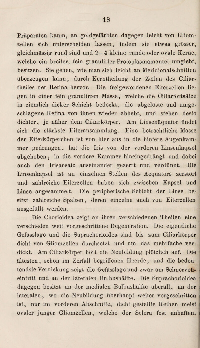 Präparaten kaum, an goldgefärbten dagegen leicht von Gliom¬ zellen sich unterscheiden lassen, indem sie etwas grösser, gleichmässig rund sind und 2—4 kleine runde oder ovale Kerne, welche ein breiter, fein granulirter Protoplasmamantei umgiebt, besitzen. Sie gehen, wie man sich leicht an Meridionalschnitten überzeugen kann, durch Kerntheilung der Zeilen des Ciliar- theiles der Retina hervor. Die freigewordenen Eiterzellen lie¬ gen in einer fein granulirten Masse, welche die Ciliarfortsätze in ziemlich dicker Schicht bedeckt, die abgelöste und umge¬ schlagene Retina von ihnen wieder abhebt, und stehen desto dichter, je näher dem Ciliarkörper. Am Linsenäquator findet sich die stärkste Eiteransammlung. Eine beträchtliche Masse der Eiterkörperchen ist von hier aus in die hintere Augenkam¬ mer gedrungen, hat die Iris von der vorderen Linsenkapsel abgehoben, in die vordere Kammer hineingedrängt und dabei auch den Irisansatz auseinander gezerrt und verdünnt. Die Linsenkapsel ist an einzelnen Stellen des Aequators zerstört und zahlreiche Eiterzellen haben sich zwischen Kapsel und Linse angesammelt. Die peripherische Schicht der Linse be¬ sitzt zahlreiche Spalten, deren einzelne auch von Eiterzellen ausgefüllt werden. Die Chorioidea zeigt an ihren verschiedenen Theilen eine verschieden weit vorgeschrittene Degeneration. Die eigentliche Gefässlage und die Suprachorioidea sind bis zum Ciliarkörper dicht von Gliomzellen durchsetzt und um das mehrfache ver¬ dickt. Am Ciliarkörper hört die Neubildung plötzlich auf. Die ältesten, schon im Zerfall begriffenen Heerde, und die bedeu¬ tendste Verdickung zeigt die Gefässlage und zwar am Sehnerven¬ eintritt und an der lateralen Bulbushälfte. Die Suprachorioidea dagegen besitzt an der medialen Bulbushälfte überall, an der lateralen, wo die Neubildung überhaupt weiter vorgeschritten ist, nur im vorderen Abschnitte, dicht gestellte Reihen meist ovaler junger Gliomzellen, welche der Sclera fest anhaften.
