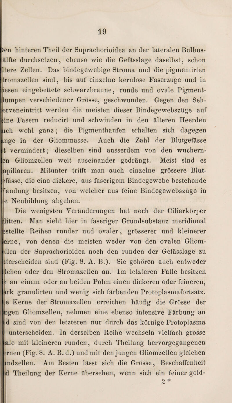 Den hinteren Theil der Suprachorioidea an der lateralen Bulbus- älfte durchsetzen, ebenso wie die Gefässlage daselbst, schon Itere Zellen. Das bindegewebige Stroma und die pigmentirten tromazellen sind, bis auf einzelne kernlose Faserzüge und in iesen eingebettete schwarzbraune, runde und ovale Pigment¬ lumpen verschiedener Grösse, geschwunden. Gegen den Seh¬ erveneintritt werden die meisten dieser Bindegewebszüge auf fcine Fasern reducirt und schwinden in den älteren Heerden lieh wohl ganz; die Pigmenthaufen erhalten sich dagegen inge in der Gliommasse. Auch die Zahl der Blutgefässe t vermindert; dieselben sind ausserdem von den wuchern- 311 Gliomzellen weit auseinander gedrängt. Meist sind es kapillaren. Mitunter trifft man auch einzelne grössere Blut- Tässe, die eine dickere, aus faserigem Bindegewebe bestehende randung besitzen, von welcher aus feine Bindegewebszüge in IEe Neubildung abgehen. Die wenigsten Veränderungen hat noch der Ciliarkörper litten. Man sieht hier in faseriger Grundsubstanz meridional stellte Reihen runder und ovaler, grösserer und kleinerer >rne, von denen die meisten weder von den ovalen Gliom¬ dien der Suprachorioidea noch den runden der Gefässlage zu iterscheiden sind (Fig. 8. A. B.). Sie gehören auch entweder Ilchen oder den Stromazellen an. Im letzteren Falle besitzen j an einem oder an beiden Polen einen dickeren oder feineren, krk granulirten und wenig sich färbenden Protoplasmafortsatz, je Kerne der Stromazellen erreichen häufig die Grösse der ngen Gliomzellen, nehmen eine ebenso intensive Färbung an d sind von den letzteren nur durch das körnige Protoplasma ; unterscheiden. In derselben Reihe wechseln vielfach grosse jale mit kleineren runden, durch Theilung hervorgegangenen irnen (Fig. 8. A. B. d.) und mit den jungen Gliomzellen gleichen indzellen. Arn Besten lässt sich die Grösse, Beschaffenheit d Theilung der Kerne übersehen, wenn sich ein feiner gold-