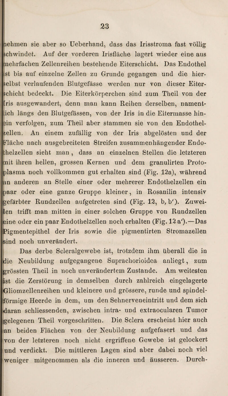 lehmen sie aber so Ueberhand, dass das Irisstroma fast völlig ichwindet. Auf der vorderen Irisfläche lagert wieder eine aus mehrfachen Zellenreihen bestehende Eiterschicht. Das Endothel st bis auf einzelne Zellen zu Grunde gegangen und die hier- fcelbst verlaufenden Blutgefässe werden nur von dieser Eiter- fcchicht bedeckt. Die Eiterkörperchen sind zum Theil von der [ris ausgewandert, denn man kann Reihen derselben, nament¬ lich längs den Blutgefässen, von der Iris in die Eitermasse hin¬ ein verfolgen, zum Theil aber stammen sie von den Endothel- gellen. An einem zufällig von der Iris abgelösten und der fläche nach ausgebreiteten Streifen zusammenhängender Endo- |;helzellen sieht man , dass an einzelnen Stellen die letzteren mit ihren hellen, grossen Kernen und dem granulirten Proto¬ plasma noch vollkommen gut erhalten sind (Fig. 12a), während m anderen an Stelle einer oder mehrerer Endothelzellen ein paar oder eine ganze Gruppe kleiner, in Rosanilin intensiv gefärbter Rundzellen aufgetreten sind (Fig. 12, b, b')* Zuwei¬ len trifft man mitten in einer solchen Gruppe von Rundzellen eine oder ein paar Endothelzellen noch erhalten (Fig. 12 a').—Das Pigmentepithel der Iris sowie die pigmentirten Stromazellen sind noch unverändert. Das derbe Scleralgewebe ist, trotzdem ihm überall die in die Neubildung aufgegangene Suprachorioidea anliegt, zum grössten Theil in noch unverändertem Zustande. Am weitesten ist die Zerstörung in demselben durch zahlreich eingelagerte Gliomzellenreihen und kleinere und grössere, runde und spindel¬ förmige Heerde in dem, um den Sehnerveneintritt und dem sich daran schliessenden, zwischen intra- und extraocularen Tumor gelegenen Theil vorgeschritten. Die Sclera erscheint hier auch ian beiden Flächen von der Neubildung aufgefasert und das von der letzteren noch nicht ergriffene Gewebe ist gelockert und verdickt. Die mittleren Lagen sind aber dabei noch viel weniger mitgenommen als die inneren und äusseren. Durch-