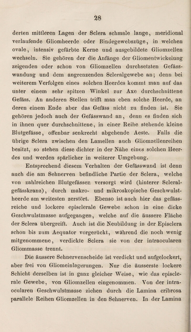derten mittleren Lagen der Sclera schmale lange, meridional verlaufende Gliomheerde oder Bindegewebszüge, in welchen ovale, intensiv gefärbte Kerne und ausgebildete Gliomzellen wechseln. Sie gehören der die Anfänge der Gliomentwickelung zeigenden oder schon von Gliomzellen durchsetzten Gefäss- wandung und dem angrenzenden Scleralgewebe an; denn bei weiterem Verfolgen eines solchen Heerdes kommt man auf das unter einem sehr spitzen Winkel zur Axe durchschnittene Gefäss. An anderen Stellen trifft man eben solche Heerde, an deren einem Ende aber das Gefäss nicht zu finden ist. Sie gehören jedoch auch der Gefässwand an, denn es finden sich in ihnen quer durchschnittene, in einer Reihe stehende kleine Blutgefässe, offenbar senkrecht abgehende Aeste. Falls die übrige Sclera zwischen den Lamellen auch Gliomzellenreihen besitzt, so stehen diese dichter in der Nähe eines solchen Heer¬ des und werden spärlicher in weiterer Umgebung. Entsprechend diesem Verhalten der Gefässwand ist denn auch die am Sehnerven befindliche Partie der Sclera, welche von zahlreichen Blutgefässen versorgt wird (hinterer Scleral- gefässkranz), durch makro- und mikroskopische Geschwulst¬ heerde am weitesten zerstört. Ebenso ist auch hier das gefäss- reiche und lockere episclerale Gewebe schon in eine dicke Geschwulstmasse aufgegangen, welche auf die äussere Fläche der Sclera übergreift. Auch ist die Neubildung in der Episclera schon bis zum Aequator vorgerückt, während die noch wenig mitgenommene, verdickte Sclera sie von der intraocularen Gliommasse trennt. Die äussere Sehnervenscheide ist verdickt und aufgelockert, aber frei von Gliomeinlagerungen. Nur die äusserste lockere Schicht derselben ist in ganz gleicher Weise, wie das episcle¬ rale Gewebe, von Gliomzellen eingenommen. Von der intra¬ ocularen Geschwulstmasse ziehen durch die Lamina cribrosa parallele Reihen Gliomzellen in den Sehnerven. In der Lamina