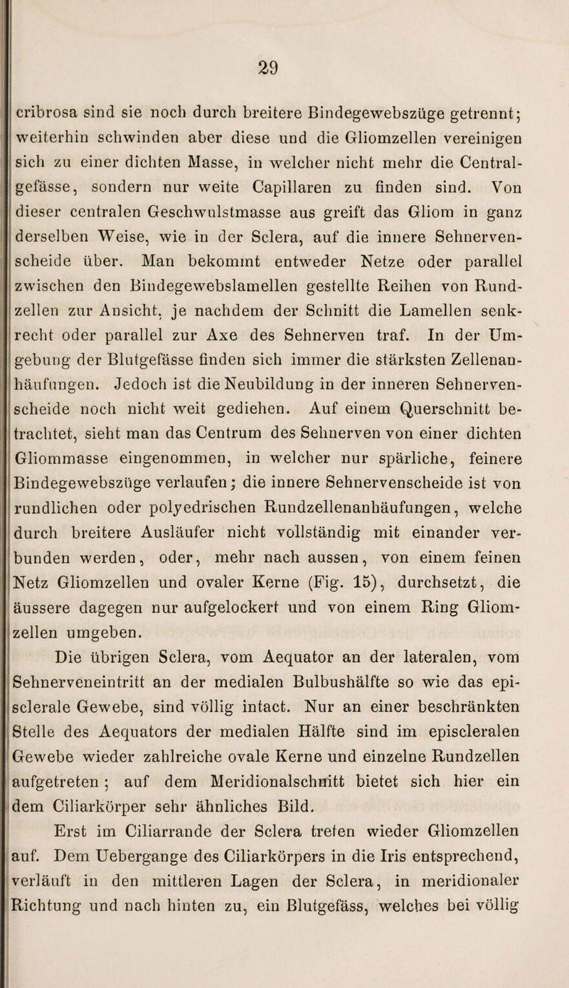 cribrosa sind sie noch durch breitere Bindegewebszüge getrennt; weiterhin schwinden aber diese und die Gliomzellen vereinigen sich zu einer dichten Masse, in welcher nicht mehr die Central- gefässe, sondern nur weite Capillaren zu finden sind. Von dieser centralen Geschwulstmasse aus greift das Gliom in ganz derselben Weise, wie in der Sclera, auf die innere Sehnerven¬ scheide über. Man bekommt entweder Netze oder parallel zwischen den Bindegewebslamellen gestellte Reihen von Rund¬ zellen zur Ansicht, je nachdem der Schnitt die Lamellen senk¬ recht oder parallel zur Axe des Sehnerven traf. In der Um¬ gebung der Blutgefässe finden sich immer die stärksten Zellenan¬ häufungen. Jedoch ist die Neubildung in der inneren Sehnerven¬ scheide noch nicht weit gediehen. Auf einem Querschnitt be¬ trachtet, sieht man das Centrum des Sehnerven von einer dichten Gliommasse eingenommen, in welcher nur spärliche, feinere Bindegewebszüge verlaufen; die innere Sehnervenscheide ist von rundlichen oder polyedrischen Rundzellenanhäufungen, welche durch breitere Ausläufer nicht vollständig mit einander ver¬ bunden werden, oder, mehr nach aussen, von einem feinen Netz Gliomzellen und ovaler Kerne (Fig. 15), durchsetzt, die äussere dagegen nur aufgelockert und von einem Ring Gliom¬ zellen umgeben. Die übrigen Sclera, vom Aequator an der lateralen, vom Sehnerveneintritt an der medialen Bulbushälfte so wie das epi- ■ sclerale Gewebe, sind völlig intact. Nur an einer beschränkten Stelle des Aequators der medialen Hälfte sind im episcleralen Gewebe wieder zahlreiche ovale Kerne und einzelne Rundzellen aufgetreten; auf dem Meridionalschnitt bietet sich hier ein dem Ciliarkörper sehr ähnliches Bild. Erst im Ciliarrande der Sclera treten wieder Gliomzellen auf. Dem Uebergange des Ciliarkörpers in die Iris entsprechend, verläuft in den mittleren Lagen der Sclera, in meridionaler Richtung und nach hinten zu, ein Blutgefäss, welches bei völlig